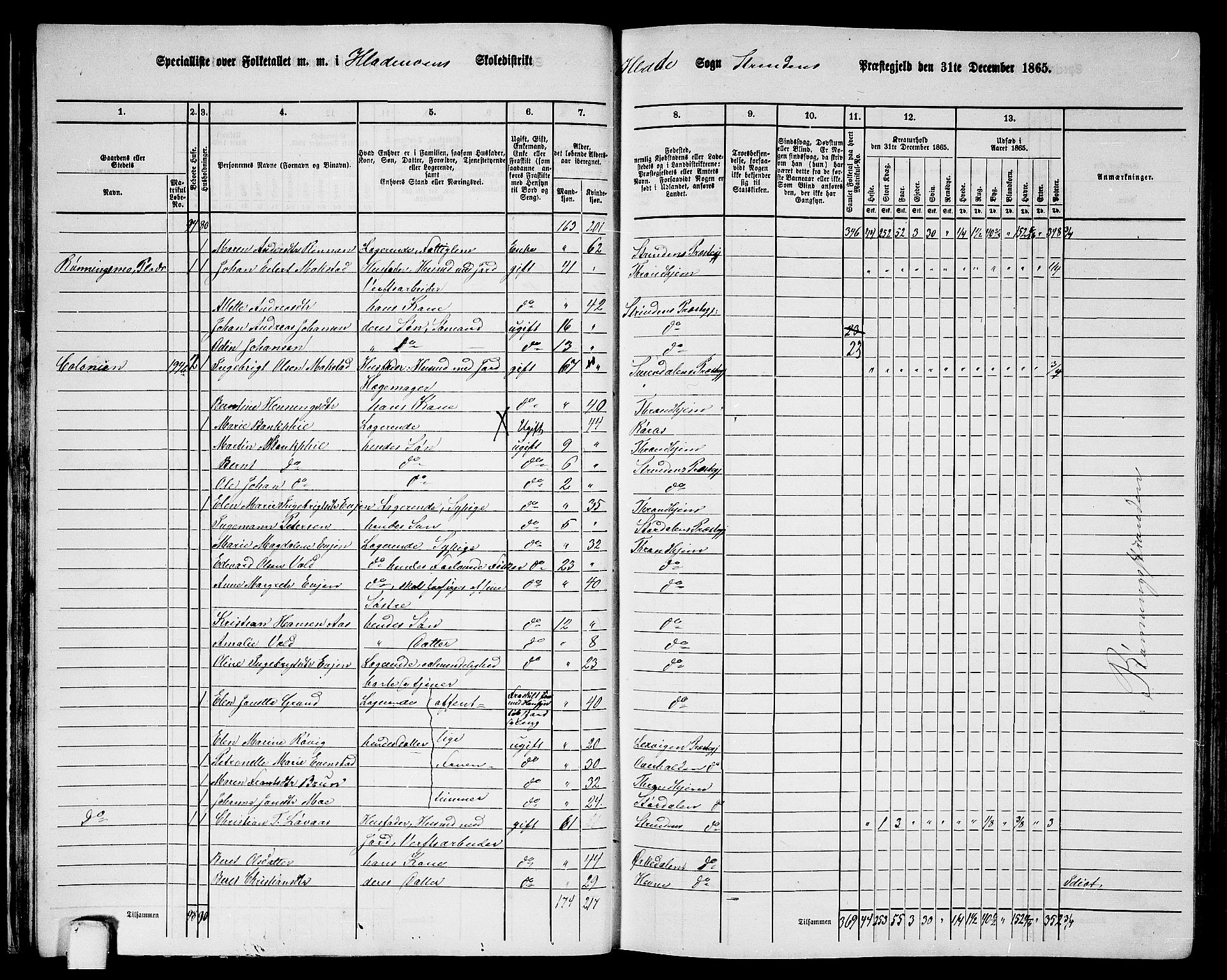 RA, 1865 census for Strinda, 1865, p. 29