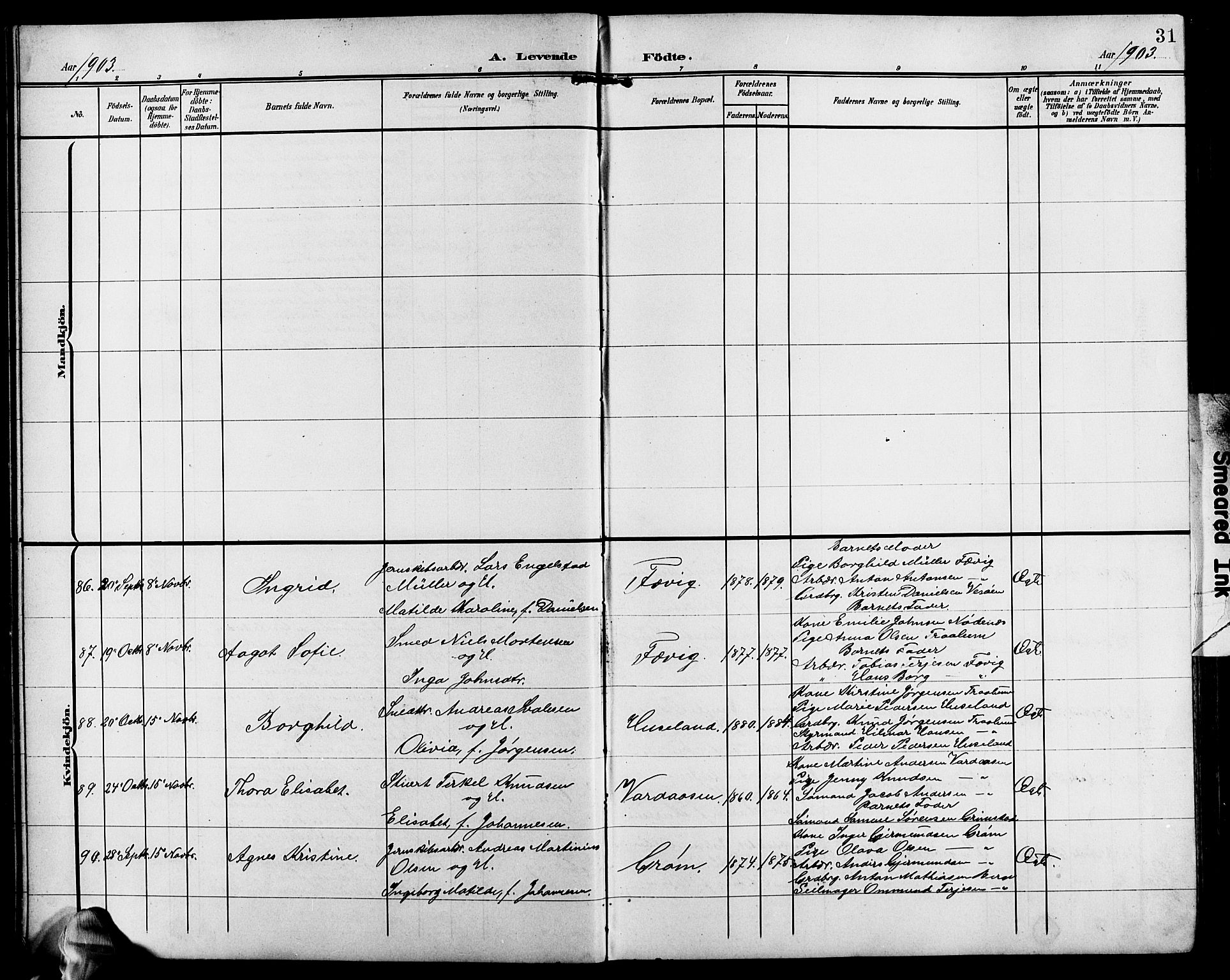 Fjære sokneprestkontor, SAK/1111-0011/F/Fb/L0012: Parish register (copy) no. B 12, 1902-1925, p. 31