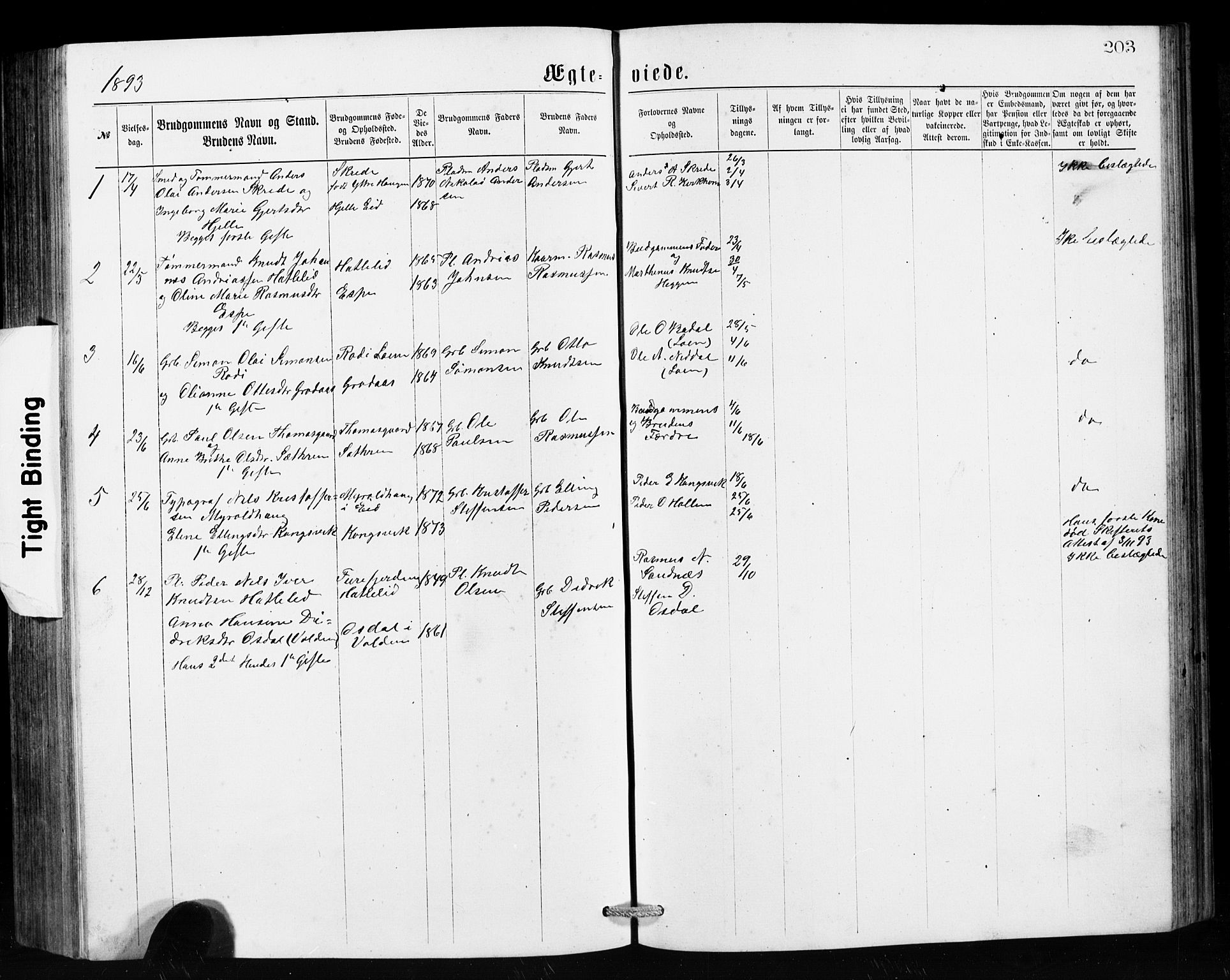 Hornindal sokneprestembete, SAB/A-82401/H/Hab: Parish register (copy) no. A 1, 1876-1894, p. 203