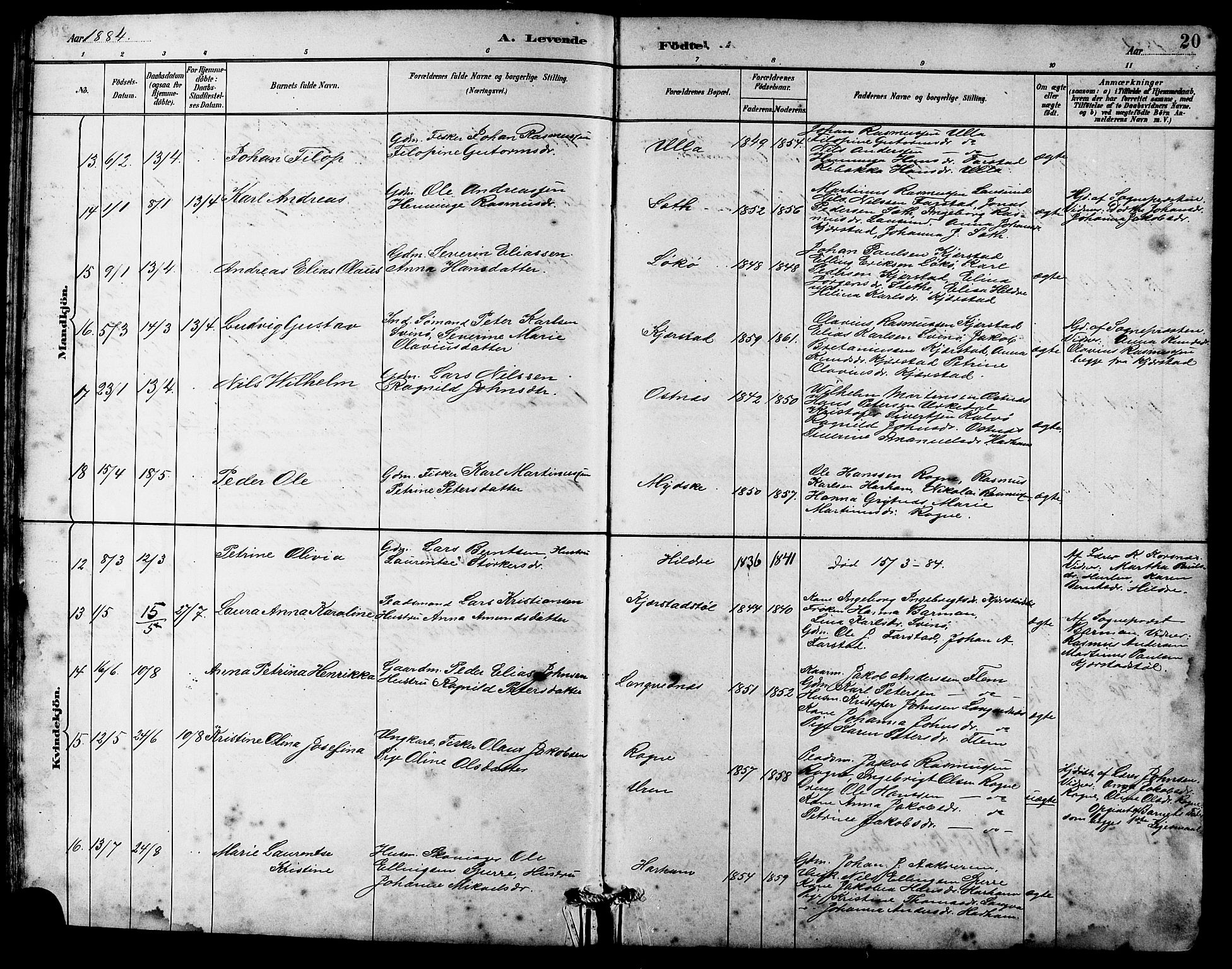 Ministerialprotokoller, klokkerbøker og fødselsregistre - Møre og Romsdal, AV/SAT-A-1454/536/L0510: Parish register (copy) no. 536C05, 1881-1898, p. 20