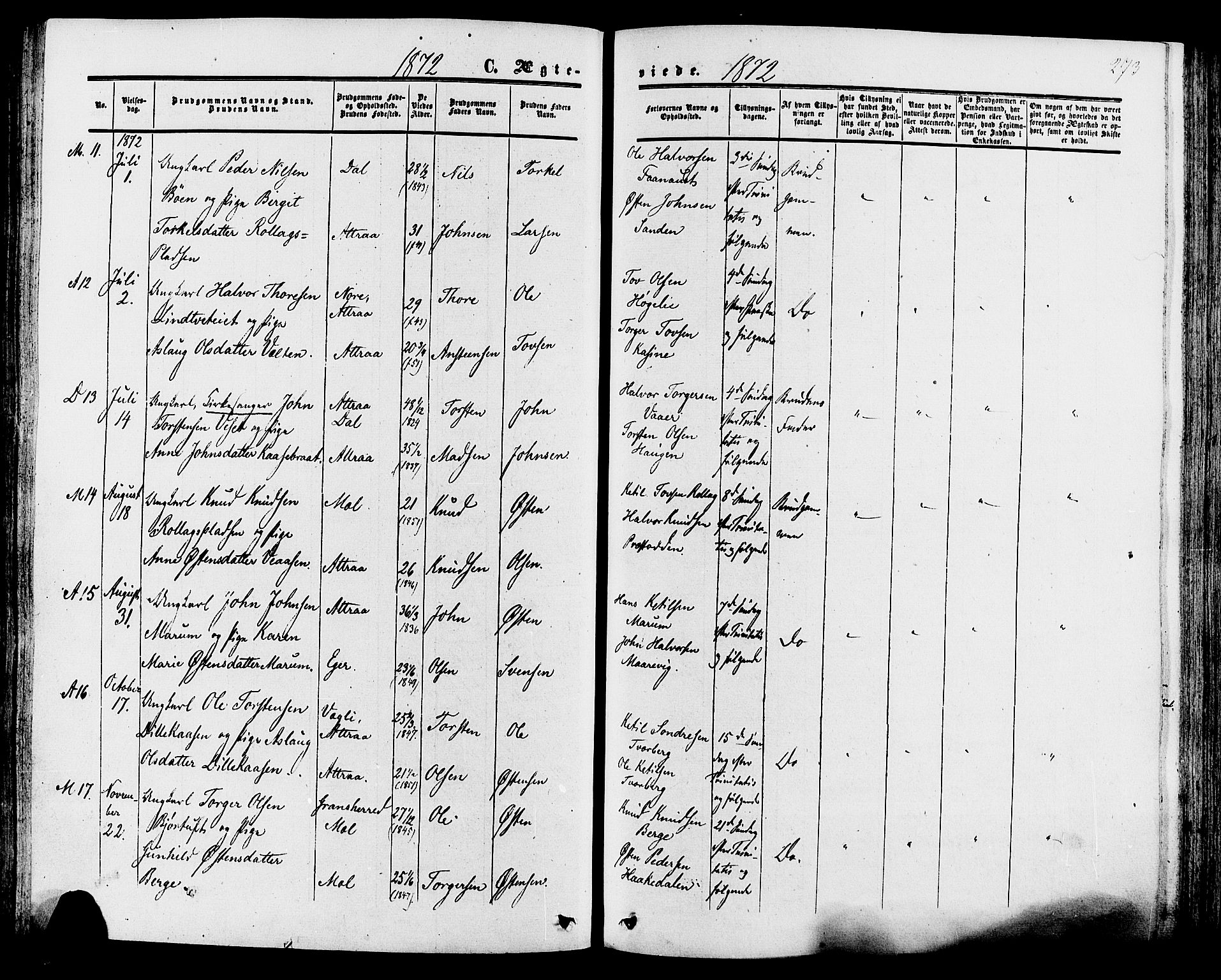 Tinn kirkebøker, SAKO/A-308/F/Fa/L0006: Parish register (official) no. I 6, 1857-1878, p. 273