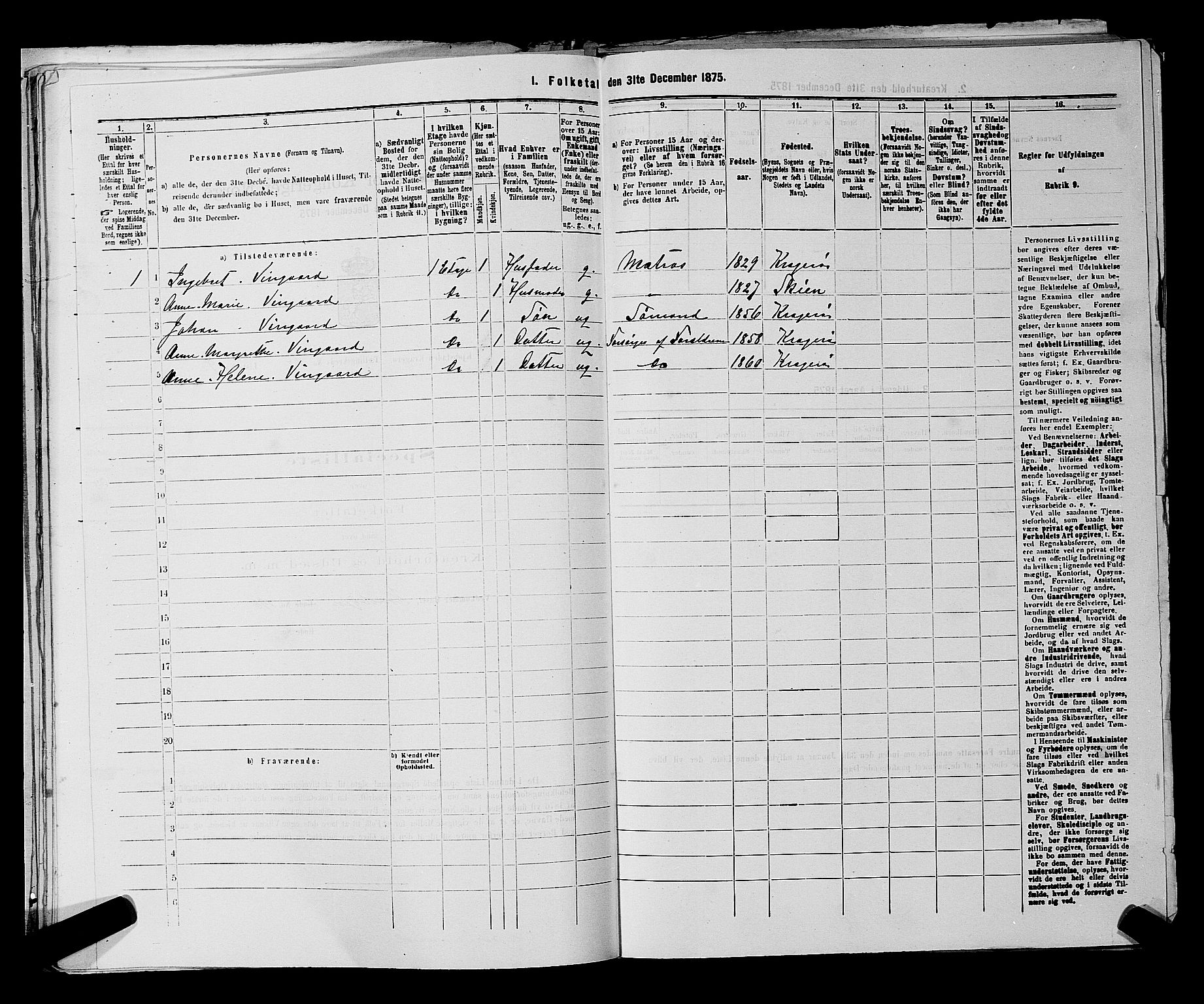 SAKO, 1875 census for 0801P Kragerø, 1875, p. 376