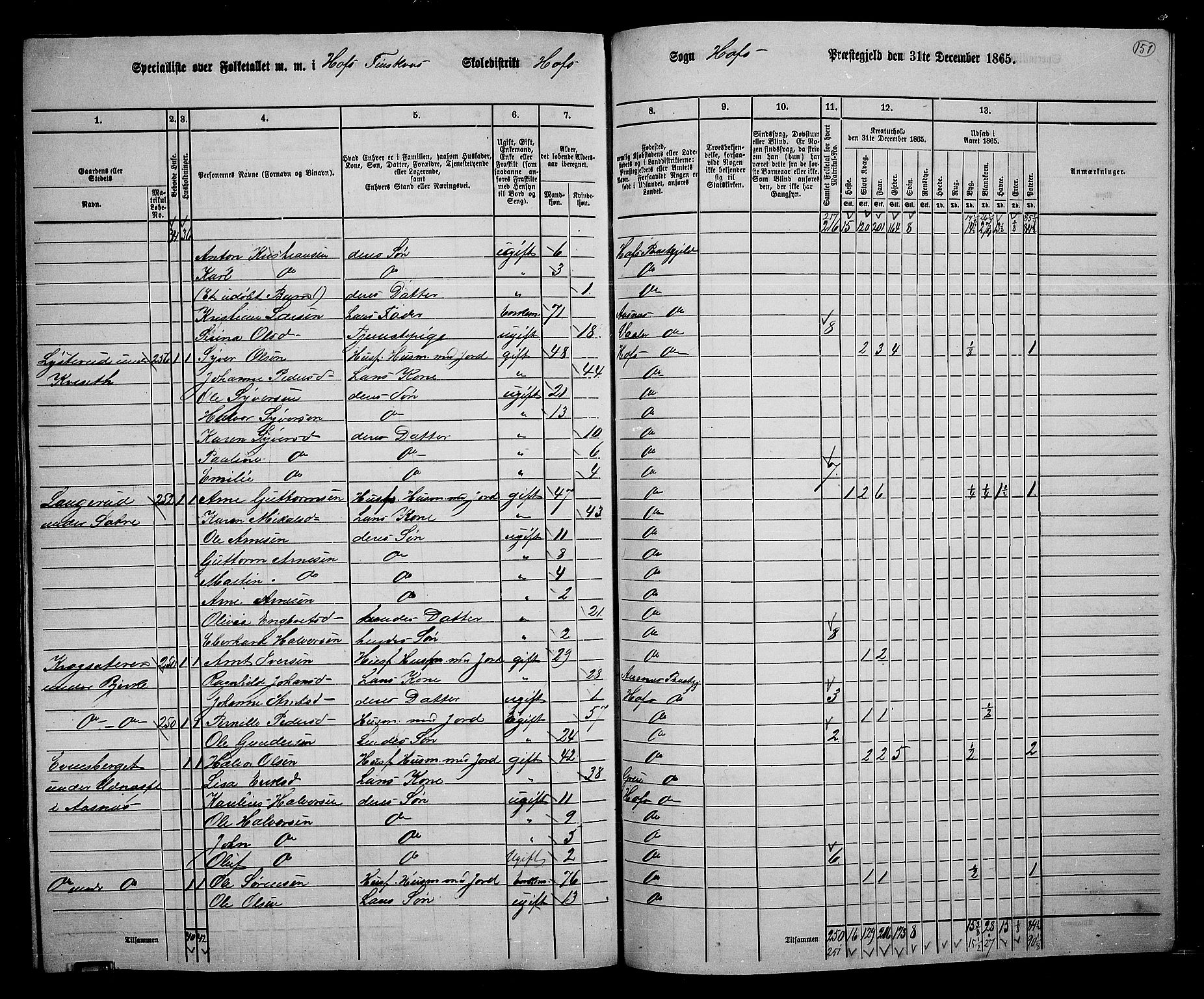 RA, 1865 census for Hof, 1865, p. 137