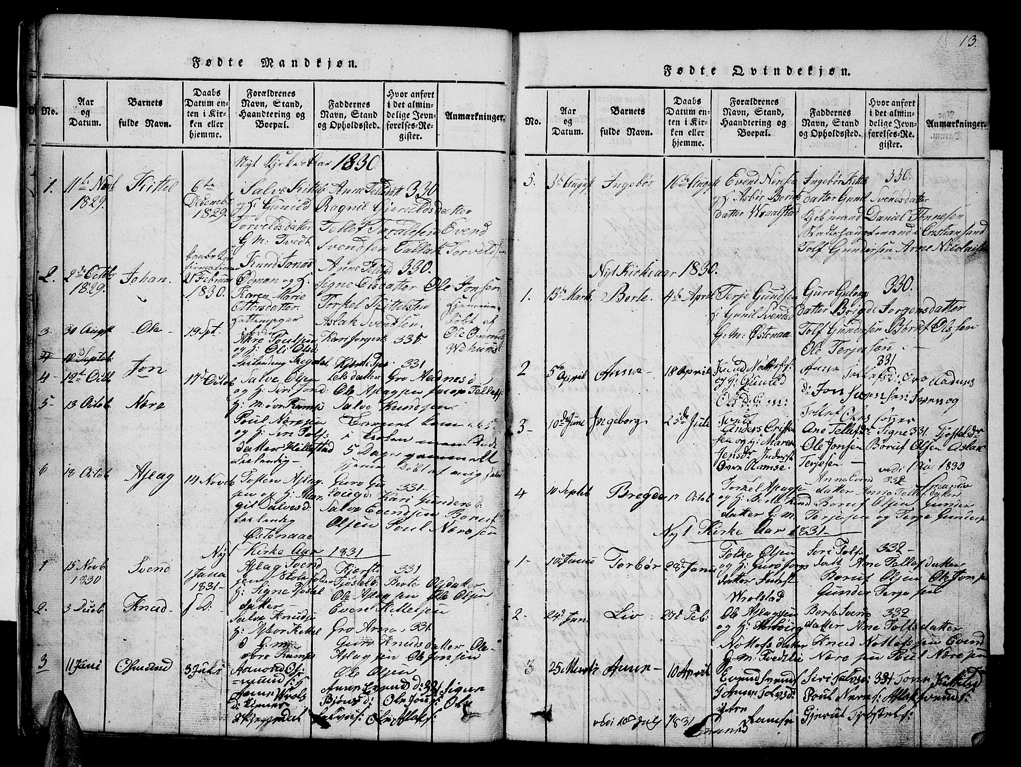 Åmli sokneprestkontor, AV/SAK-1111-0050/F/Fb/Fbb/L0001: Parish register (copy) no. B 1, 1816-1889, p. 13