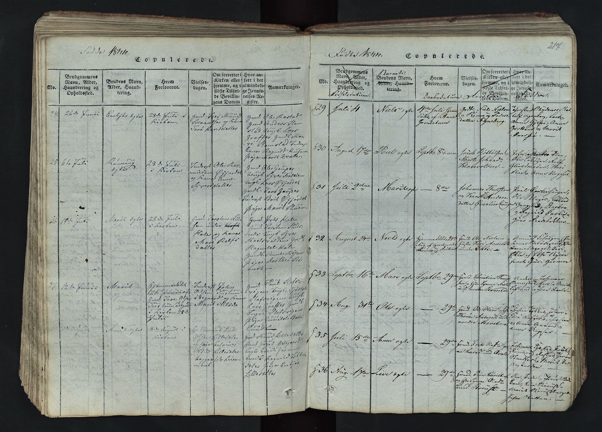 Lom prestekontor, SAH/PREST-070/L/L0002: Parish register (copy) no. 2, 1815-1844, p. 217