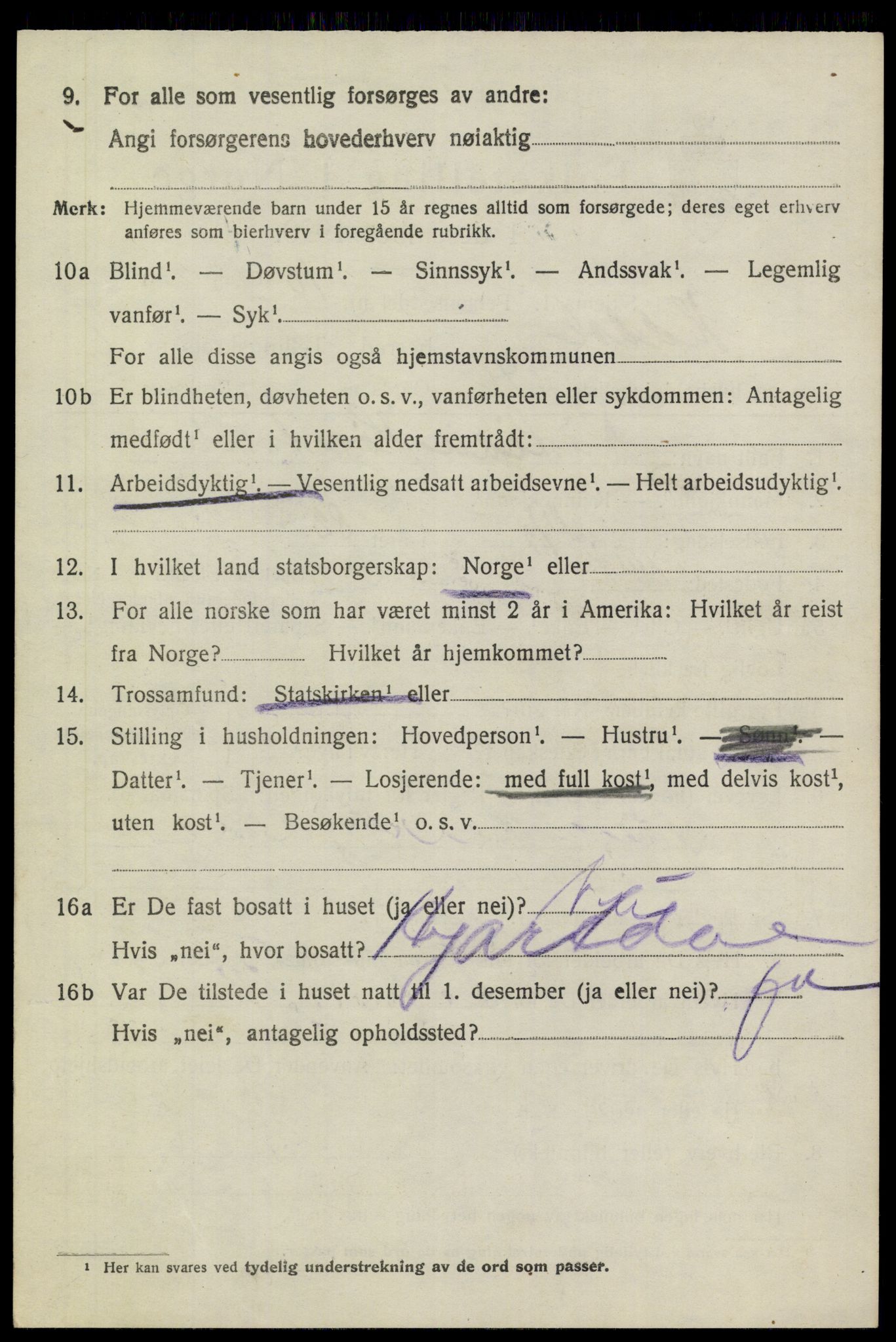 SAKO, 1920 census for Heddal, 1920, p. 1949