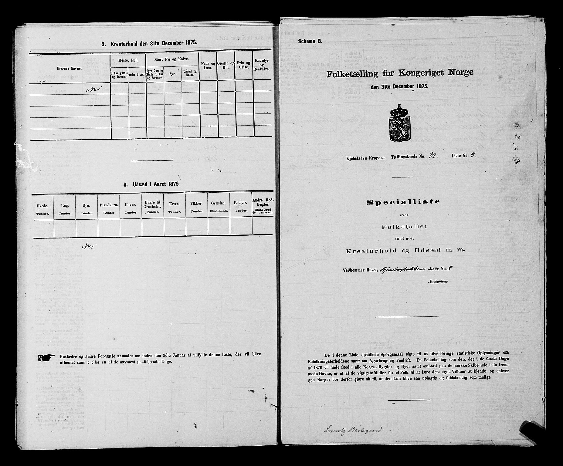 SAKO, 1875 census for 0801P Kragerø, 1875, p. 761