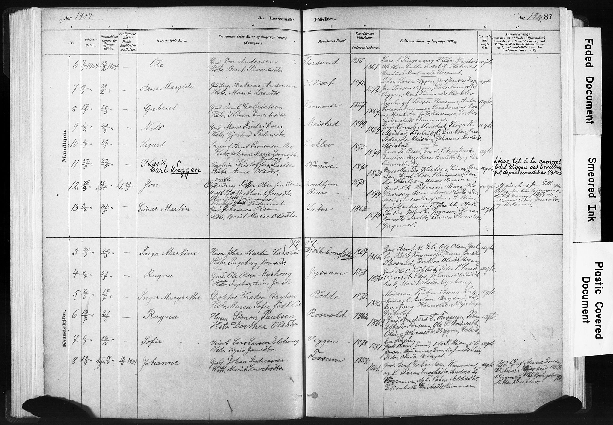 Ministerialprotokoller, klokkerbøker og fødselsregistre - Sør-Trøndelag, AV/SAT-A-1456/665/L0773: Parish register (official) no. 665A08, 1879-1905, p. 87