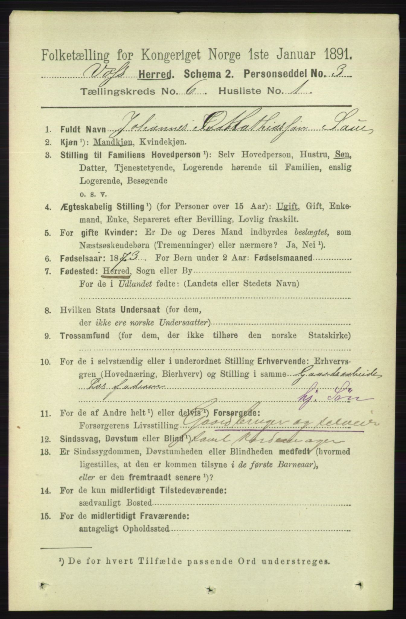 RA, 1891 census for 1235 Voss, 1891, p. 3292