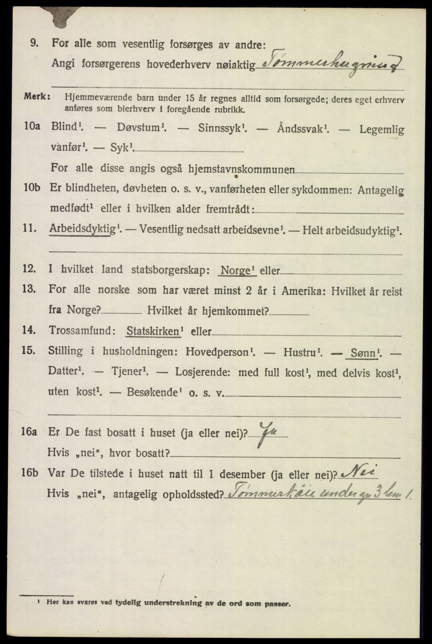 SAH, 1920 census for Trysil, 1920, p. 3526
