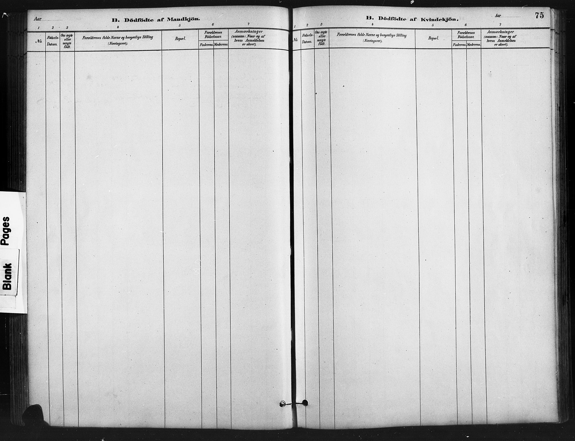 Austre Moland sokneprestkontor, SAK/1111-0001/F/Fb/Fba/L0003: Parish register (copy) no. B 3, 1879-1914, p. 75