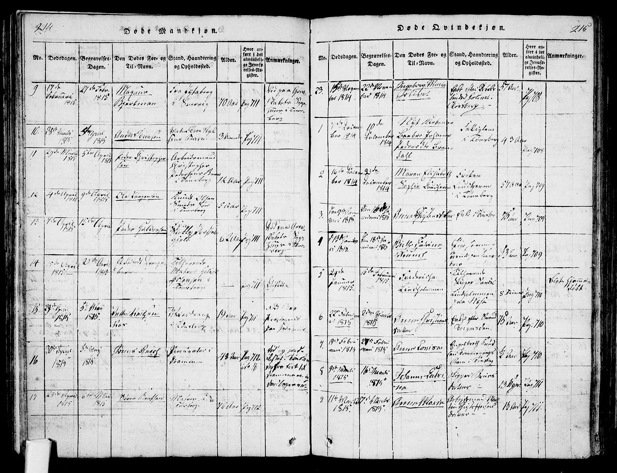 Tønsberg kirkebøker, AV/SAKO-A-330/F/Fa/L0004: Parish register (official) no. I 4, 1813-1826, p. 214-215