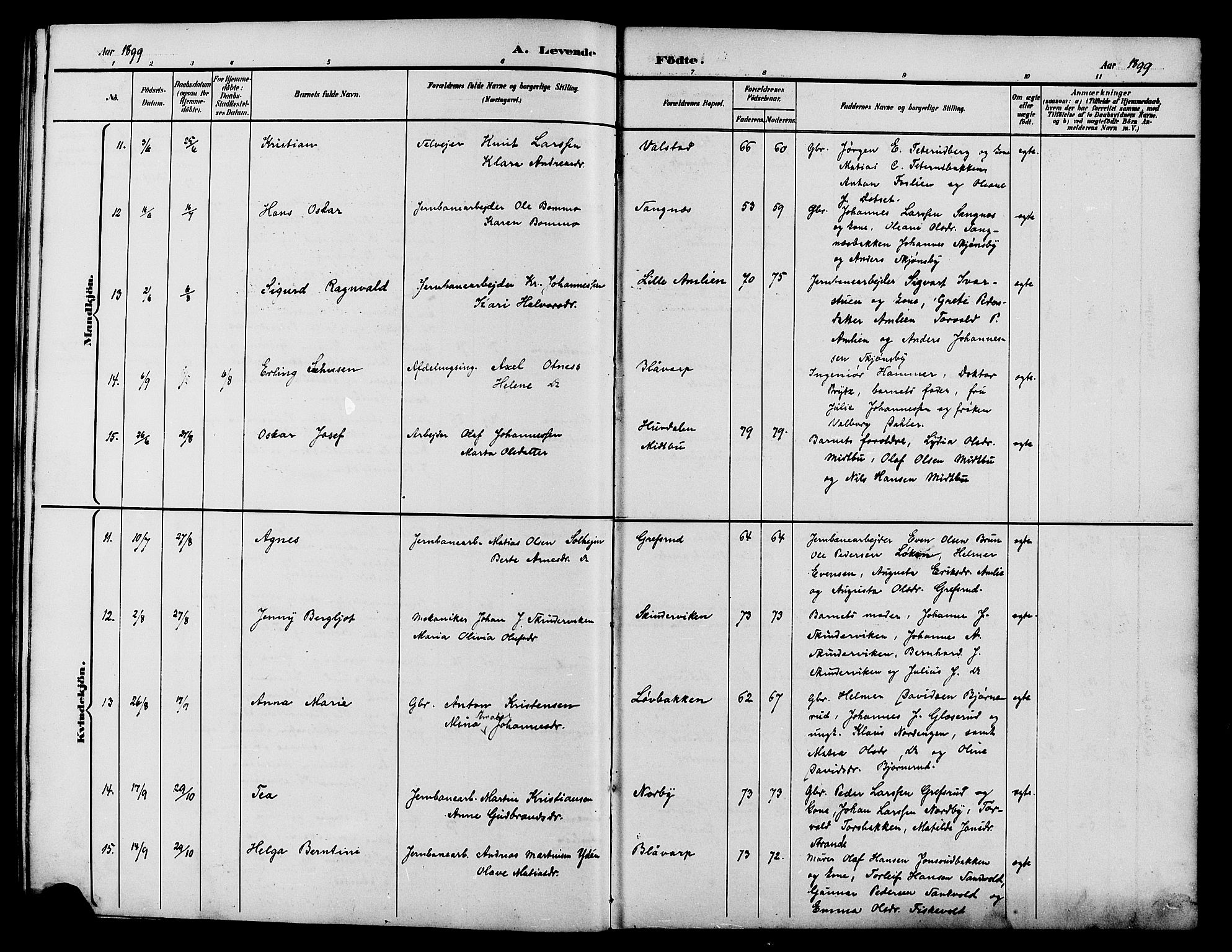 Vestre Toten prestekontor, AV/SAH-PREST-108/H/Ha/Hab/L0015: Parish register (copy) no. 15, 1890-1900