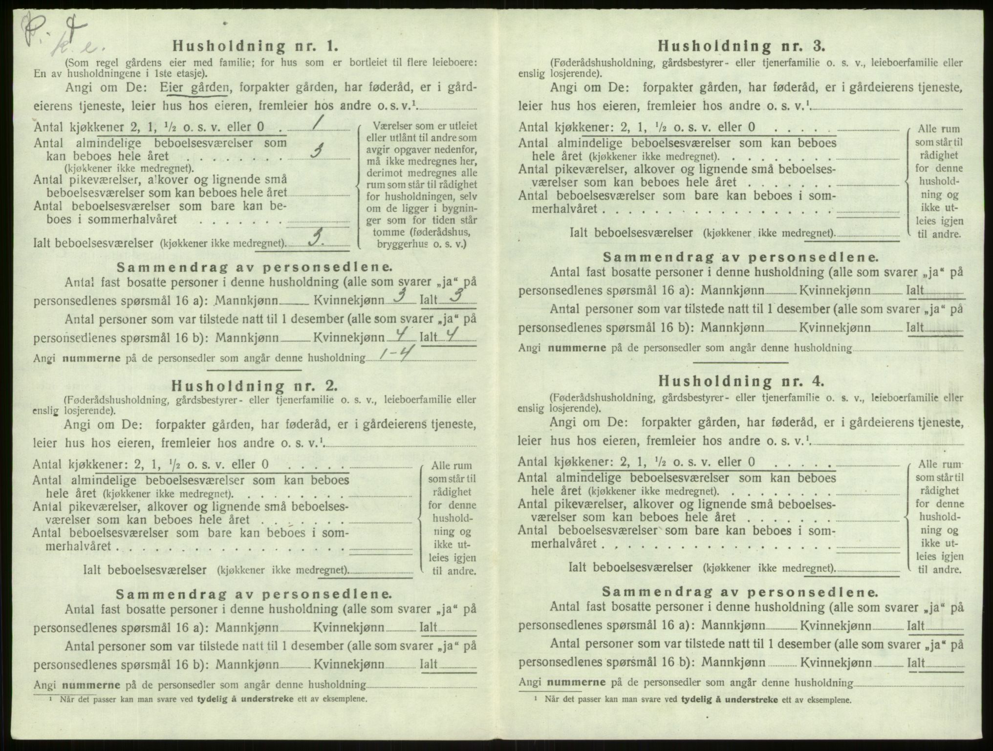 SAB, 1920 census for Lærdal, 1920, p. 521