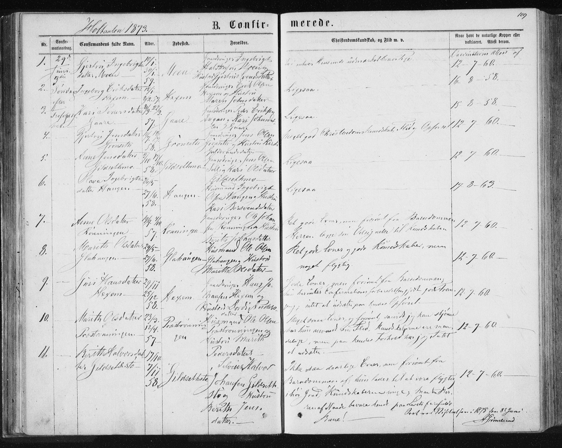 Ministerialprotokoller, klokkerbøker og fødselsregistre - Sør-Trøndelag, SAT/A-1456/685/L0969: Parish register (official) no. 685A08 /1, 1870-1878, p. 109
