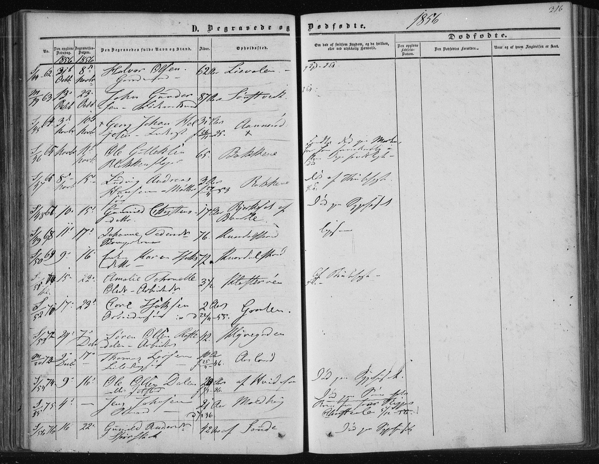 Solum kirkebøker, SAKO/A-306/F/Fa/L0007: Parish register (official) no. I 7, 1856-1864, p. 316