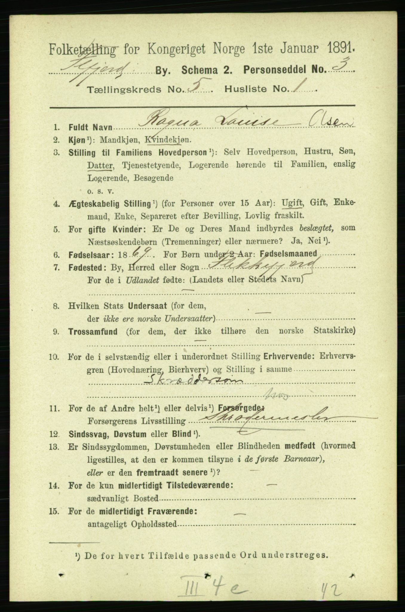 RA, 1891 census for 1004 Flekkefjord, 1891, p. 1127