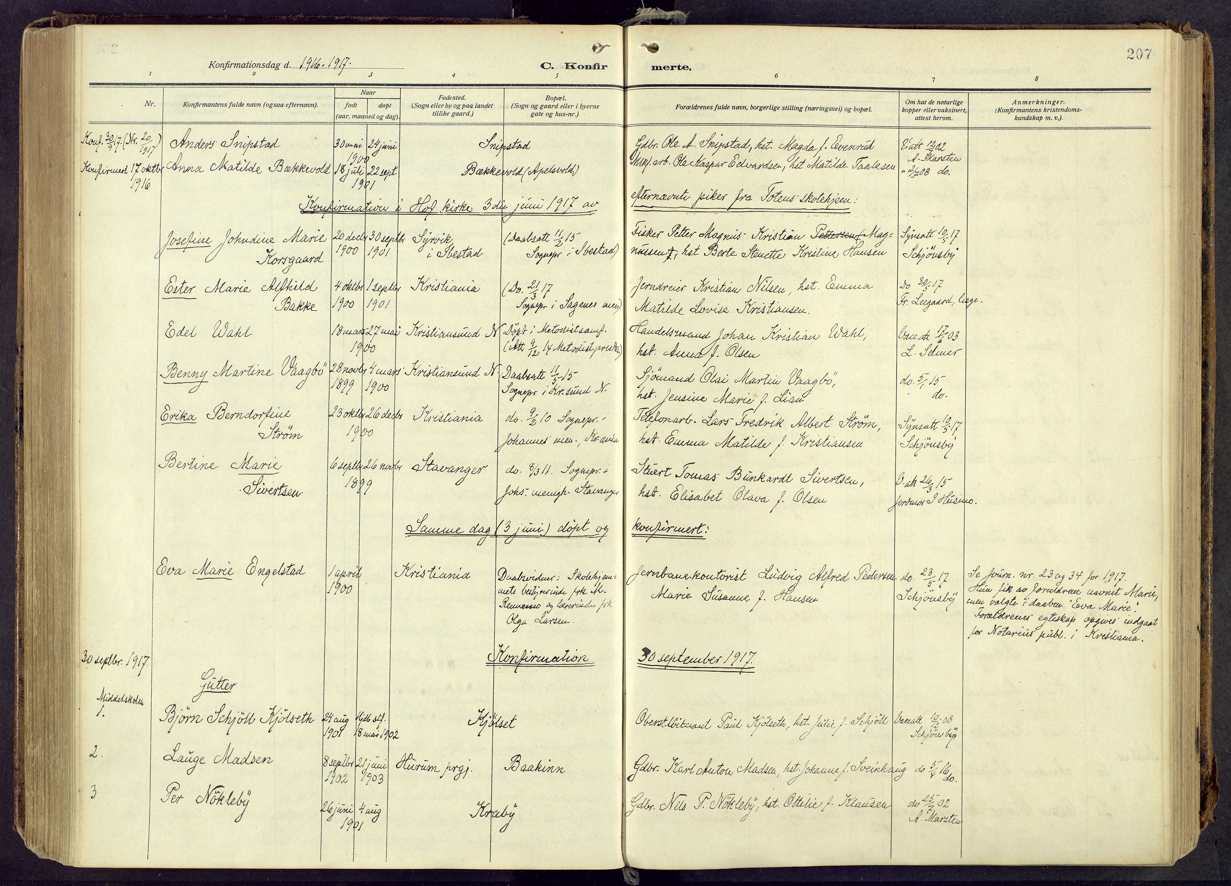 Østre Toten prestekontor, AV/SAH-PREST-104/H/Ha/Haa/L0010: Parish register (official) no. 10, 1910-1920, p. 207