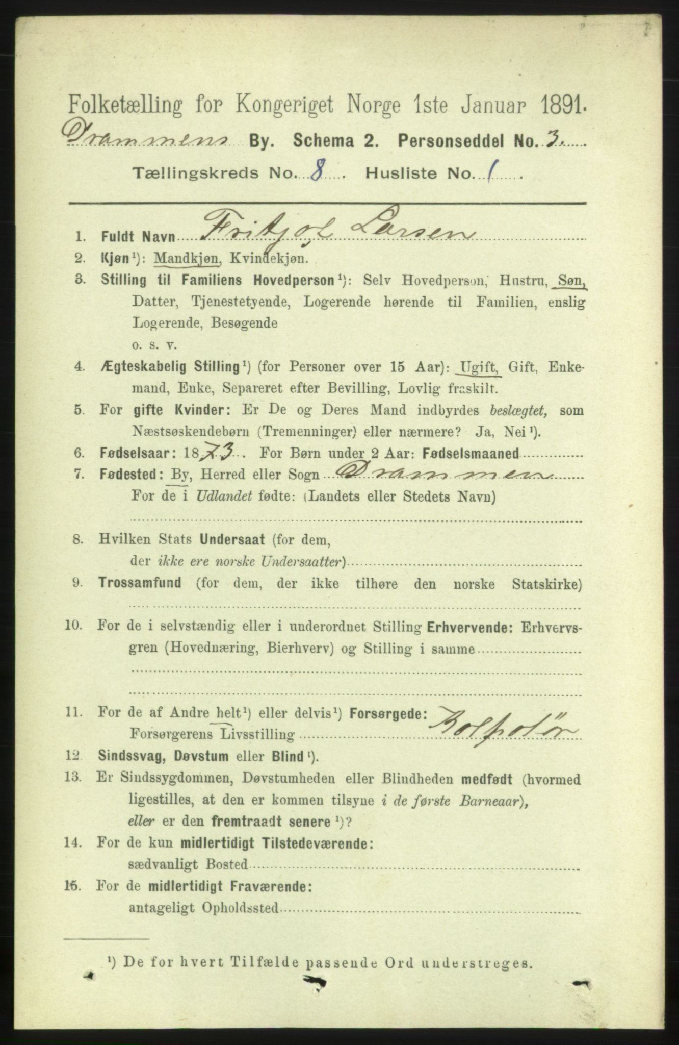 RA, 1891 census for 0602 Drammen, 1891, p. 6775