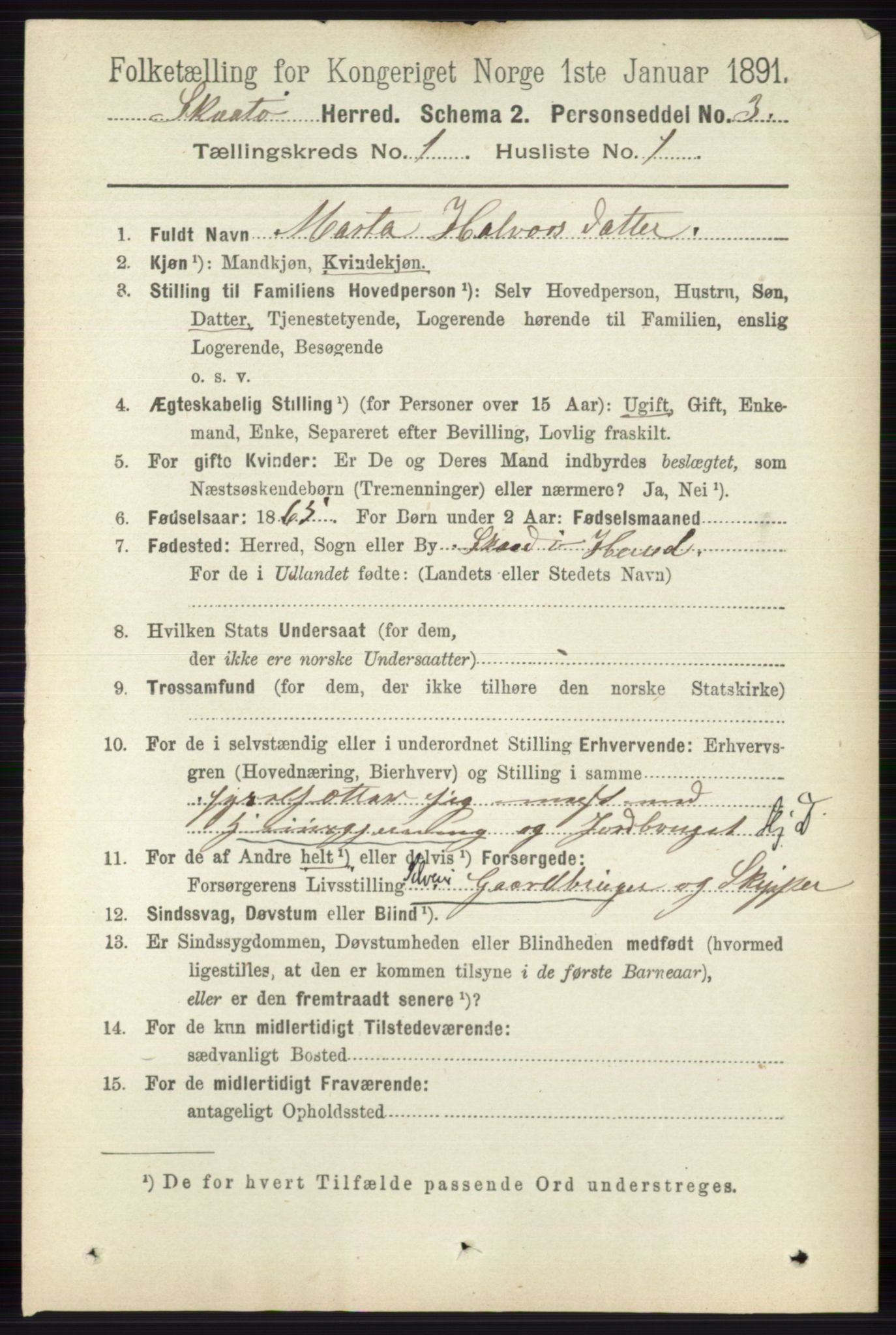 RA, 1891 census for 0815 Skåtøy, 1891, p. 94