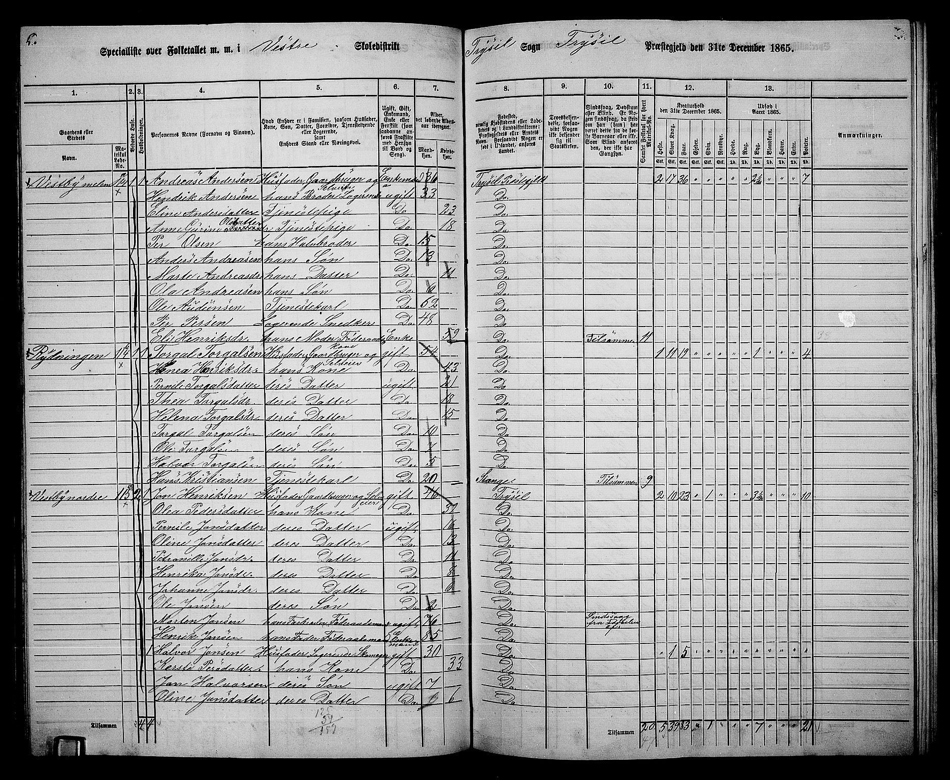 RA, 1865 census for Trysil, 1865, p. 77