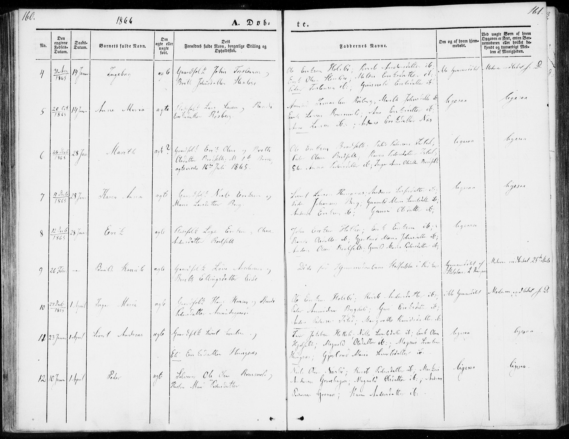 Ministerialprotokoller, klokkerbøker og fødselsregistre - Møre og Romsdal, AV/SAT-A-1454/557/L0680: Parish register (official) no. 557A02, 1843-1869, p. 160-161