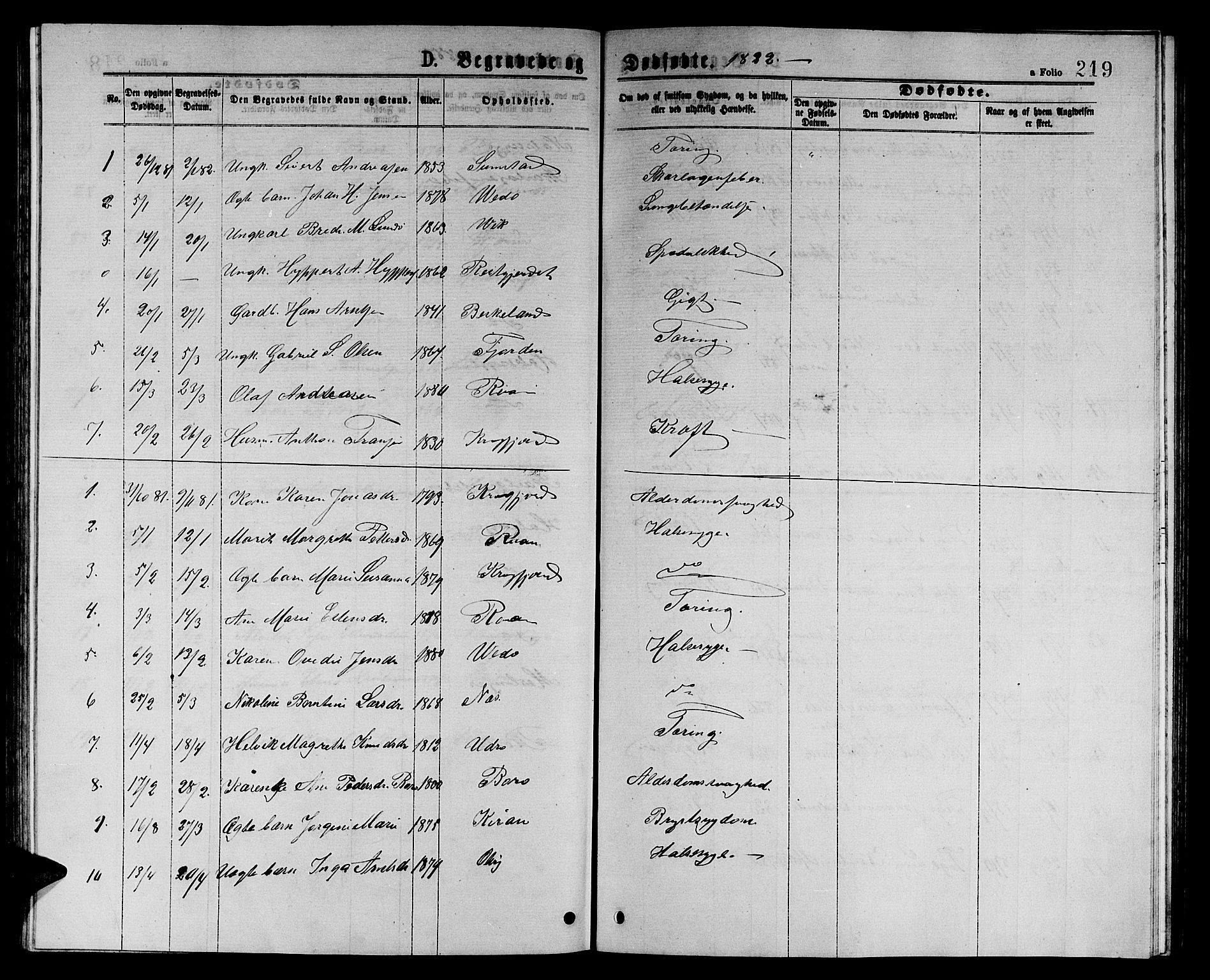 Ministerialprotokoller, klokkerbøker og fødselsregistre - Sør-Trøndelag, SAT/A-1456/657/L0715: Parish register (copy) no. 657C02, 1873-1888, p. 219