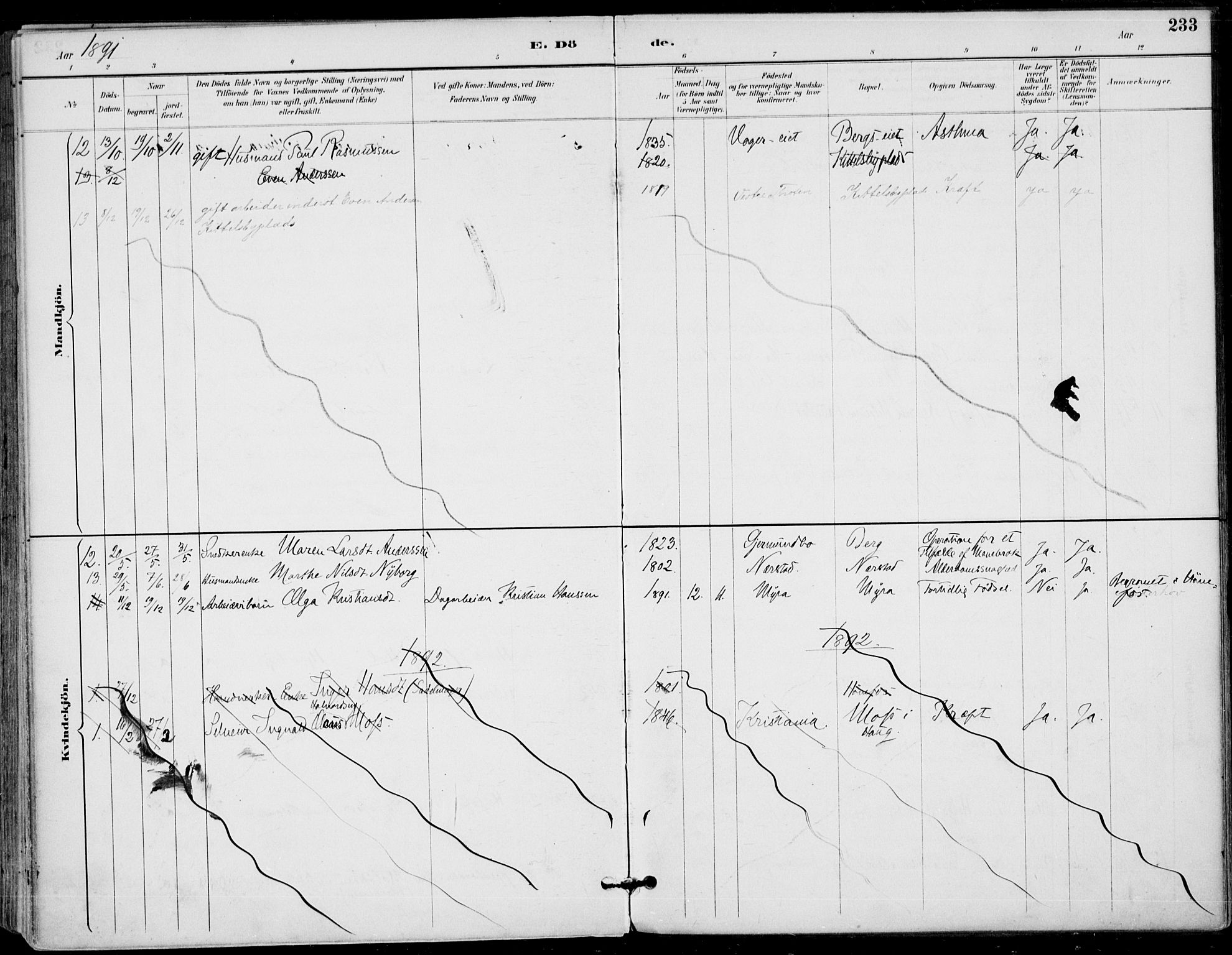 Haug kirkebøker, AV/SAKO-A-604/F/Fa/L0001: Parish register (official) no. 1, 1885-1917, p. 233