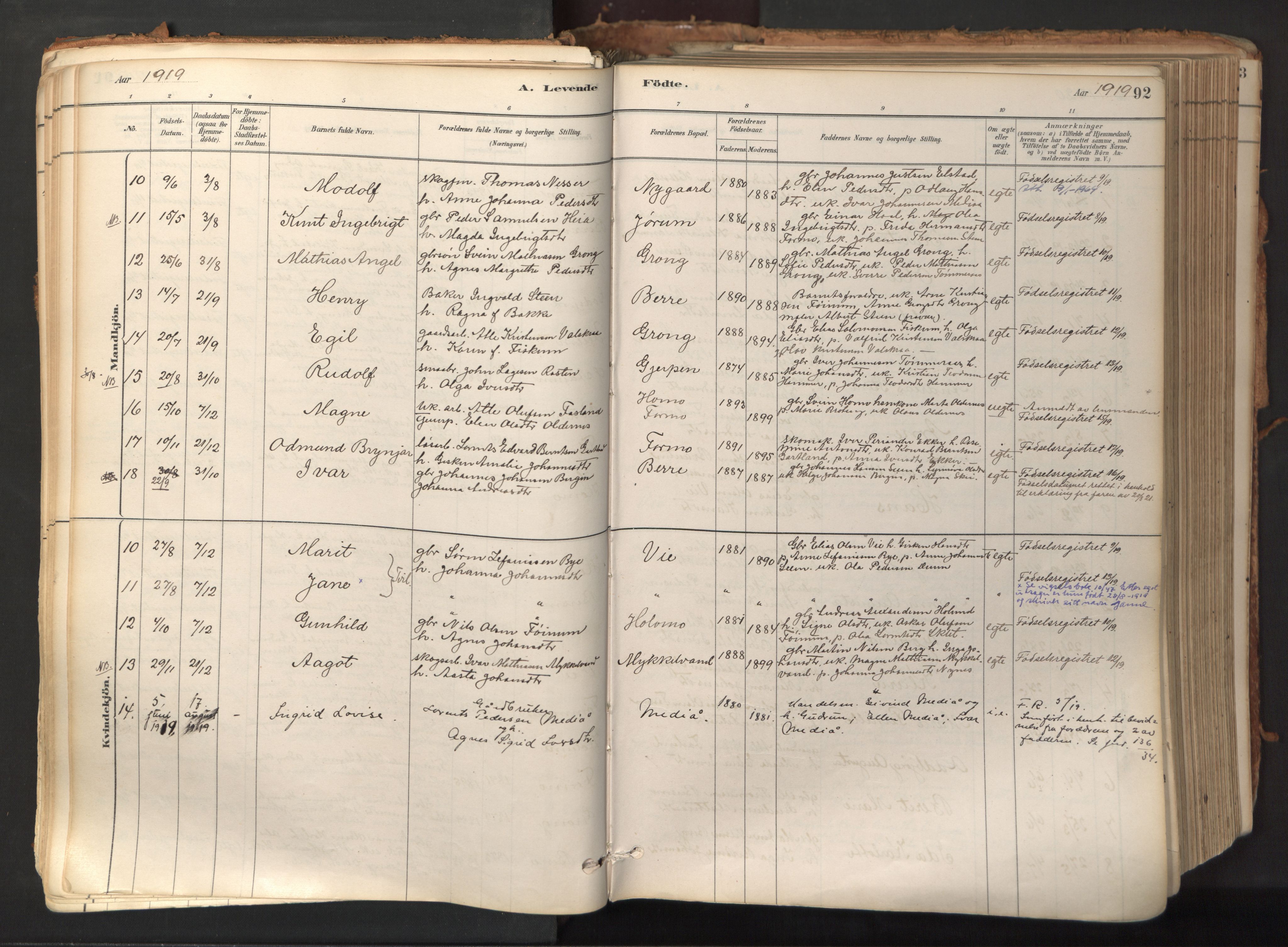 Ministerialprotokoller, klokkerbøker og fødselsregistre - Nord-Trøndelag, SAT/A-1458/758/L0519: Parish register (official) no. 758A04, 1880-1926, p. 92