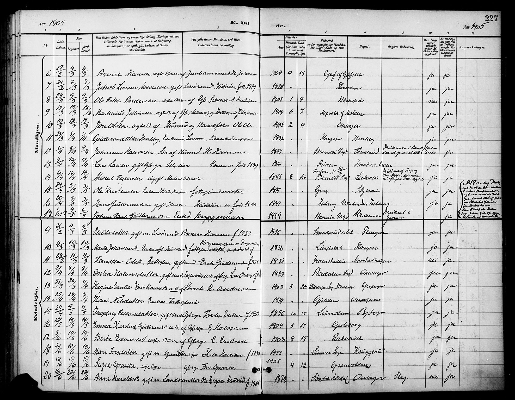 Gran prestekontor, SAH/PREST-112/H/Ha/Haa/L0019: Parish register (official) no. 19, 1898-1907, p. 227