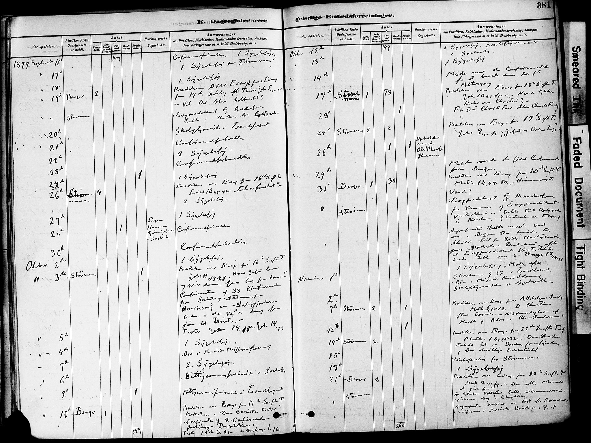 Strømm kirkebøker, AV/SAKO-A-322/F/Fa/L0004: Parish register (official) no. I 4, 1878-1899, p. 381