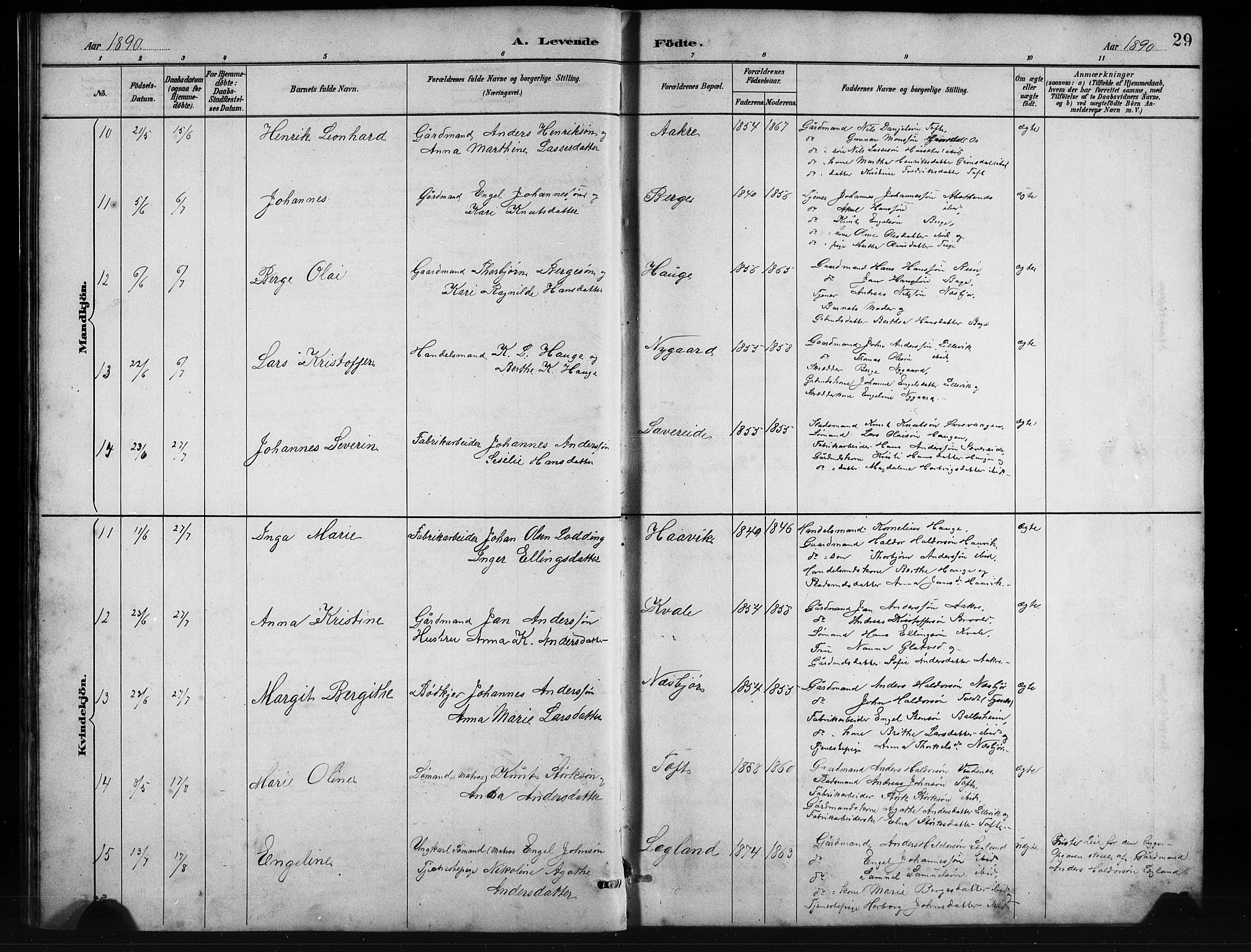 Fusa sokneprestembete, SAB/A-75401/H/Hab: Parish register (copy) no. C 2, 1886-1926, p. 29