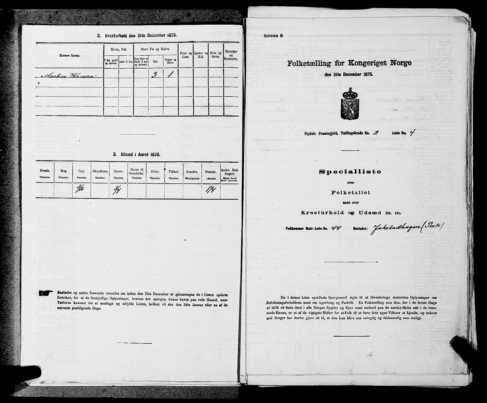 SAKO, 1875 census for 0621P Sigdal, 1875, p. 317