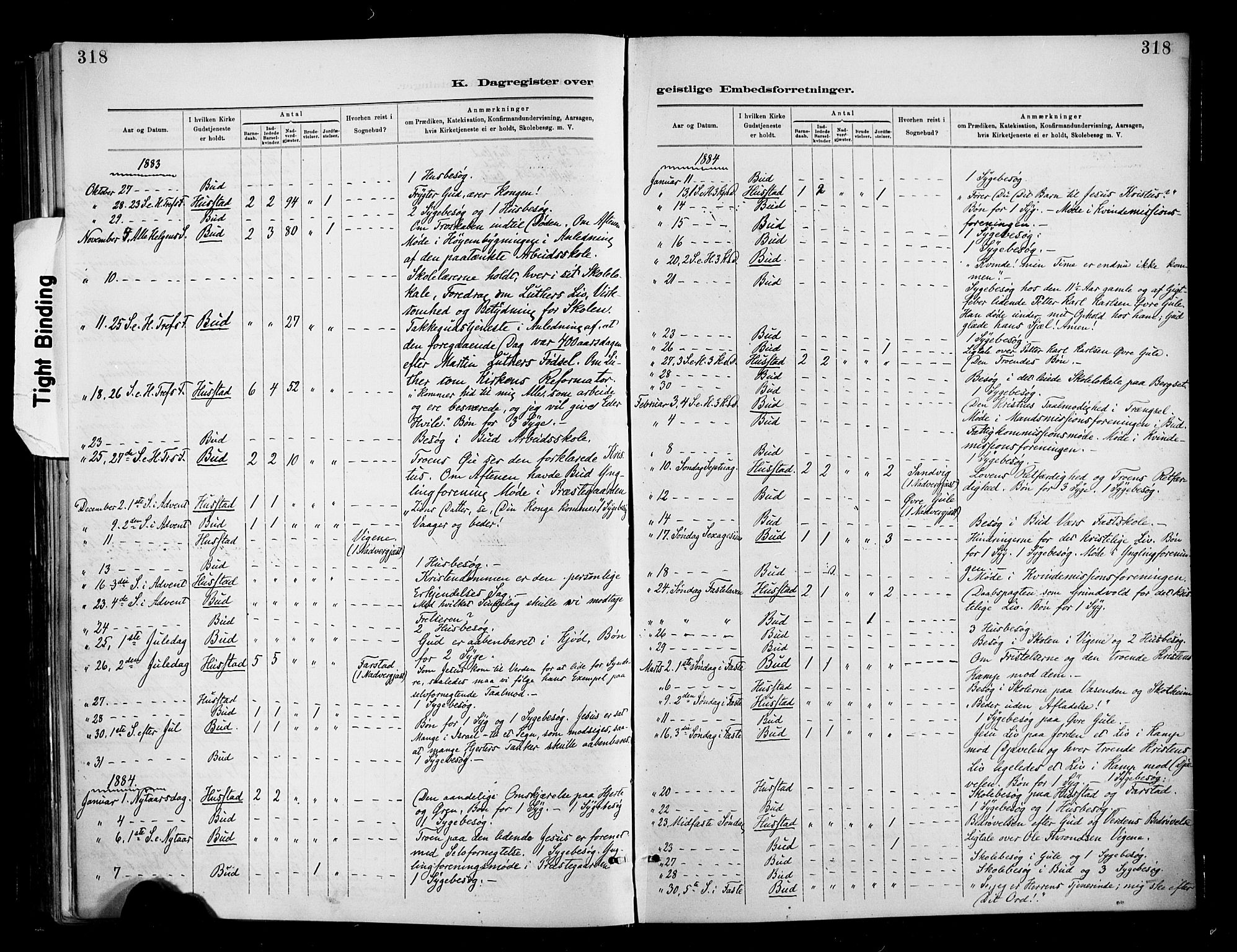 Ministerialprotokoller, klokkerbøker og fødselsregistre - Møre og Romsdal, SAT/A-1454/566/L0769: Parish register (official) no. 566A08, 1881-1903, p. 318