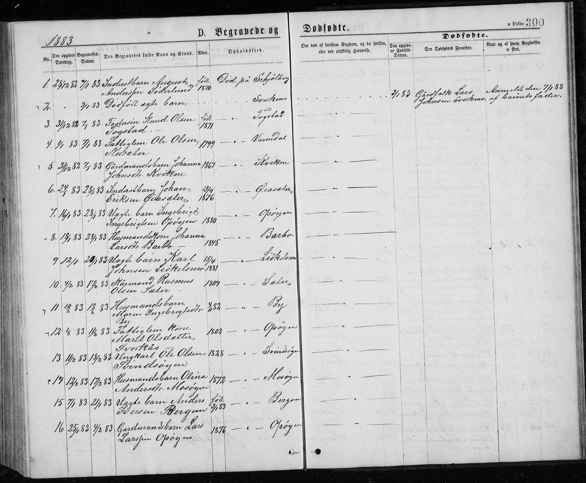 Ministerialprotokoller, klokkerbøker og fødselsregistre - Sør-Trøndelag, SAT/A-1456/671/L0843: Parish register (copy) no. 671C02, 1873-1892, p. 300