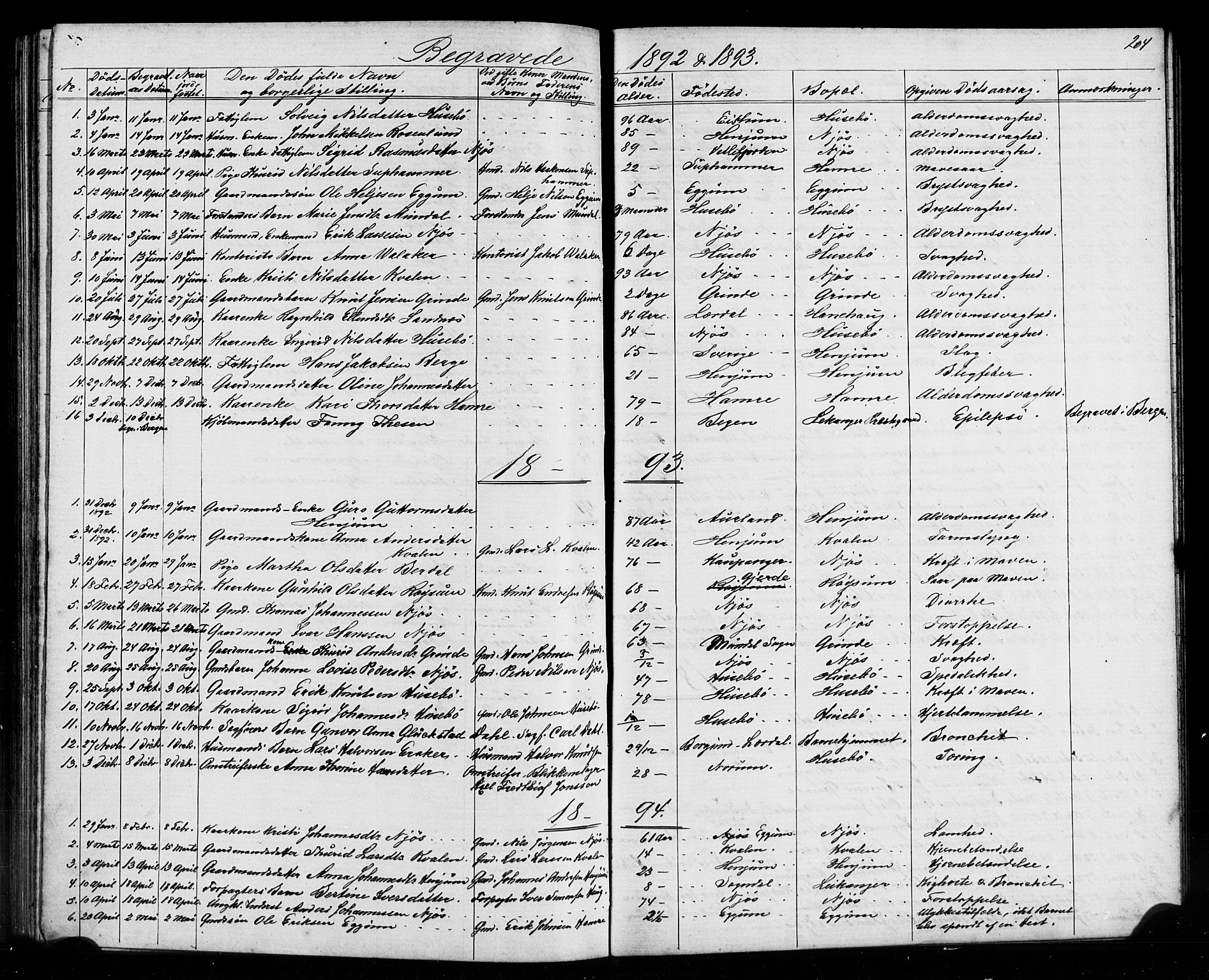 Leikanger sokneprestembete, SAB/A-81001: Parish register (copy) no. A 1, 1873-1916, p. 204
