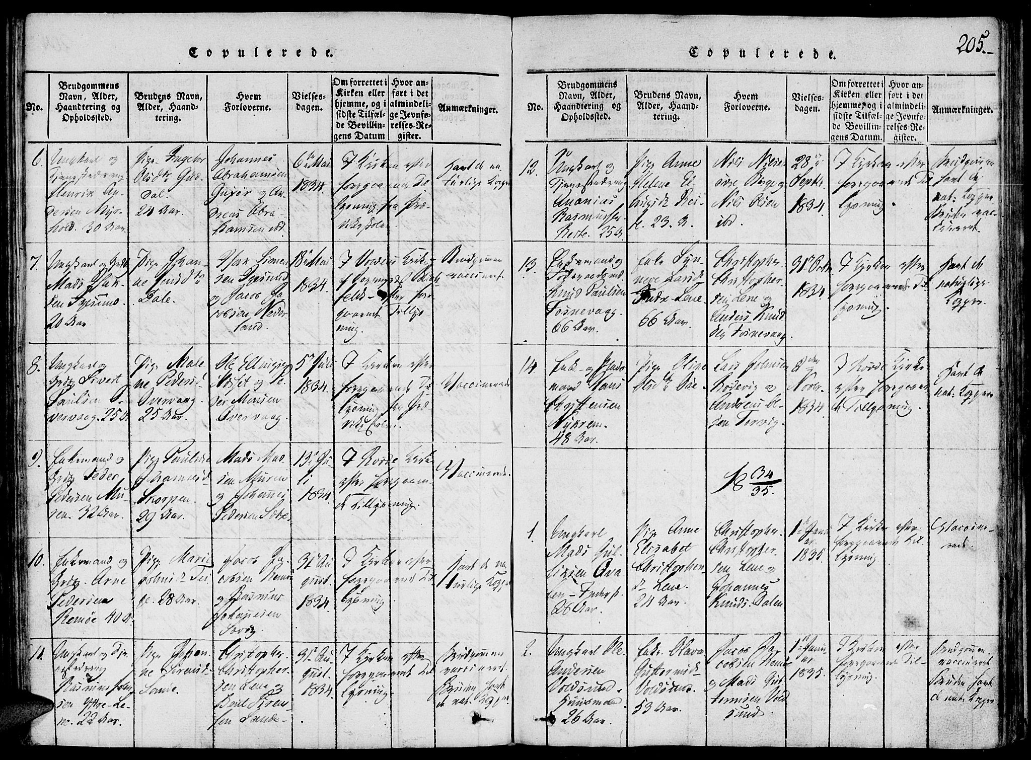 Ministerialprotokoller, klokkerbøker og fødselsregistre - Møre og Romsdal, SAT/A-1454/507/L0069: Parish register (official) no. 507A04, 1816-1841, p. 205