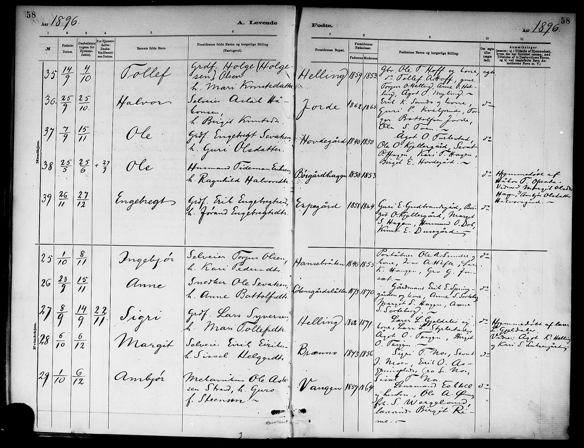 Ål kirkebøker, SAKO/A-249/F/Fa/L0008: Parish register (official) no. I 8, 1882-1896, p. 58