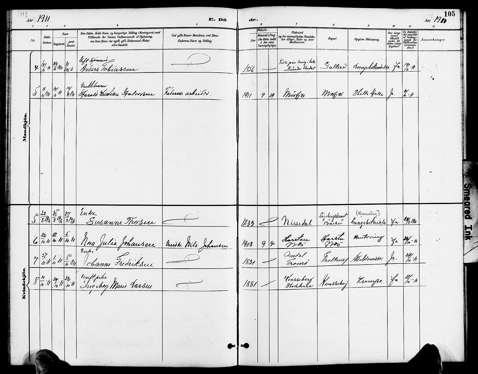 Austre Moland sokneprestkontor, AV/SAK-1111-0001/F/Fb/Fbb/L0002: Parish register (copy) no. B 2, 1894-1918, p. 105