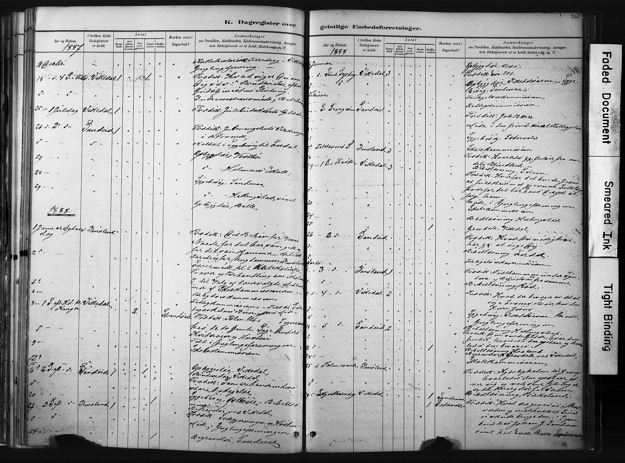 Vikedal sokneprestkontor, AV/SAST-A-101840/01/IV: Parish register (official) no. A 10, 1884-1907, p. 205