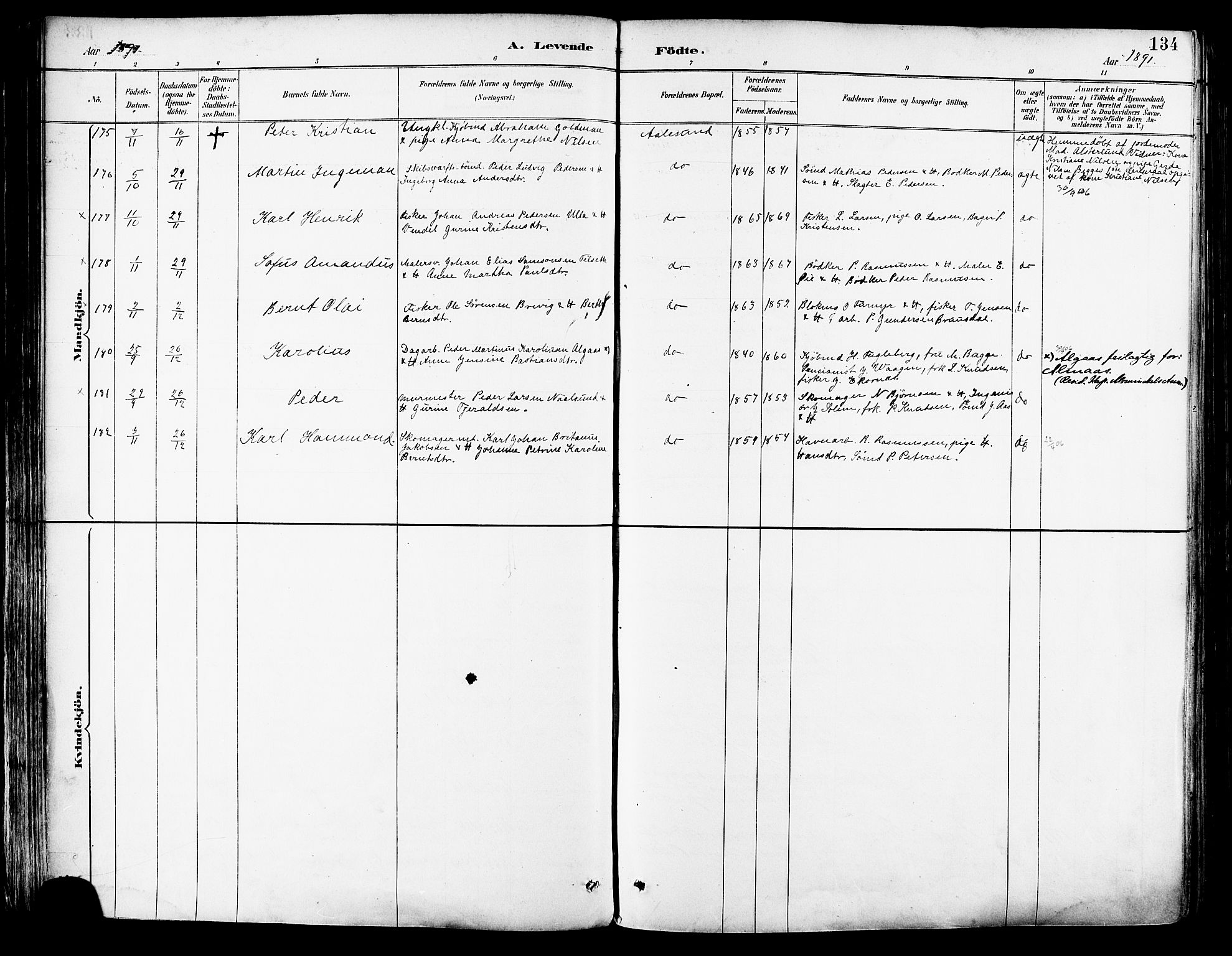 Ministerialprotokoller, klokkerbøker og fødselsregistre - Møre og Romsdal, AV/SAT-A-1454/529/L0455: Parish register (official) no. 529A05, 1885-1893, p. 134