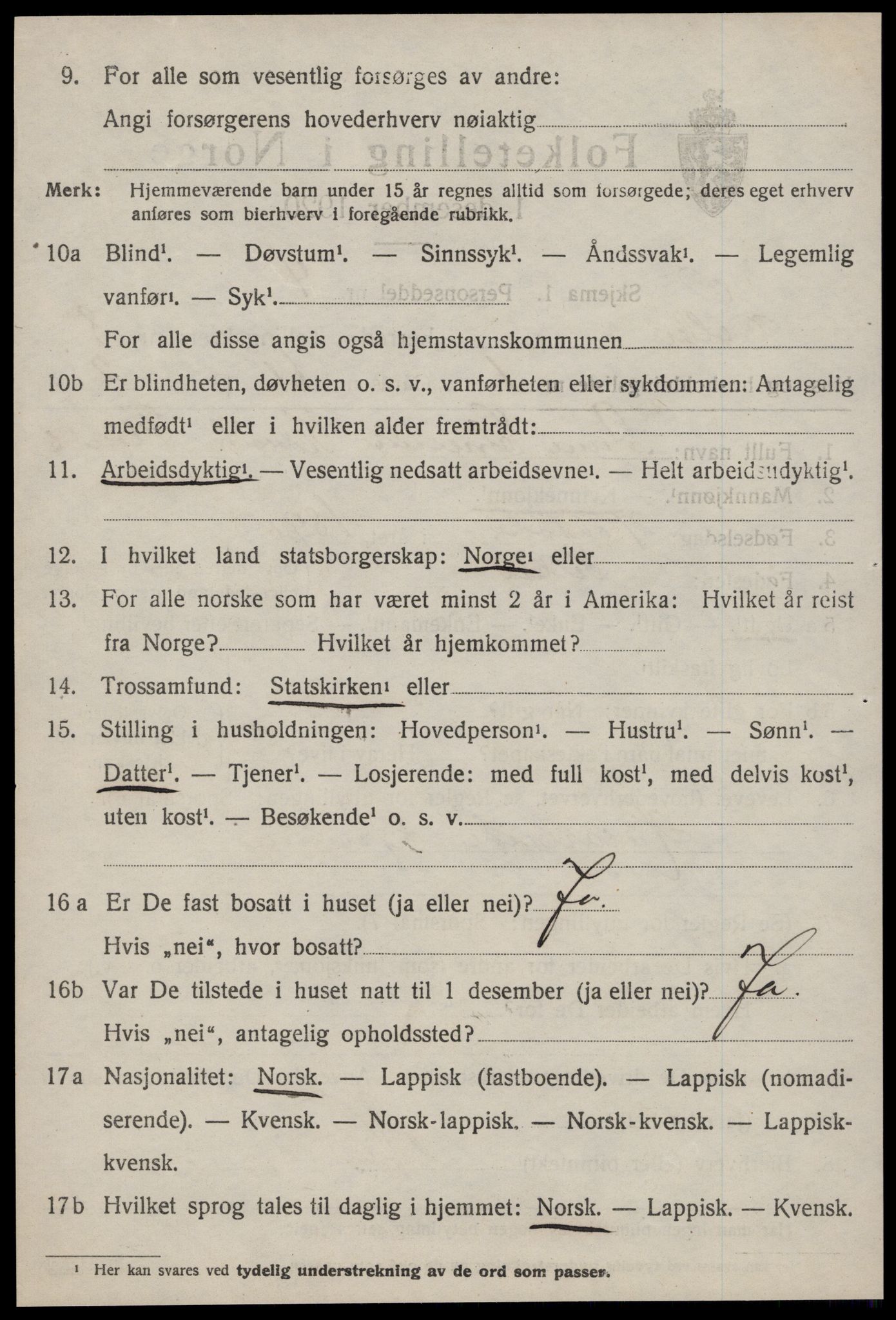 SAT, 1920 census for Selbu, 1920, p. 4435