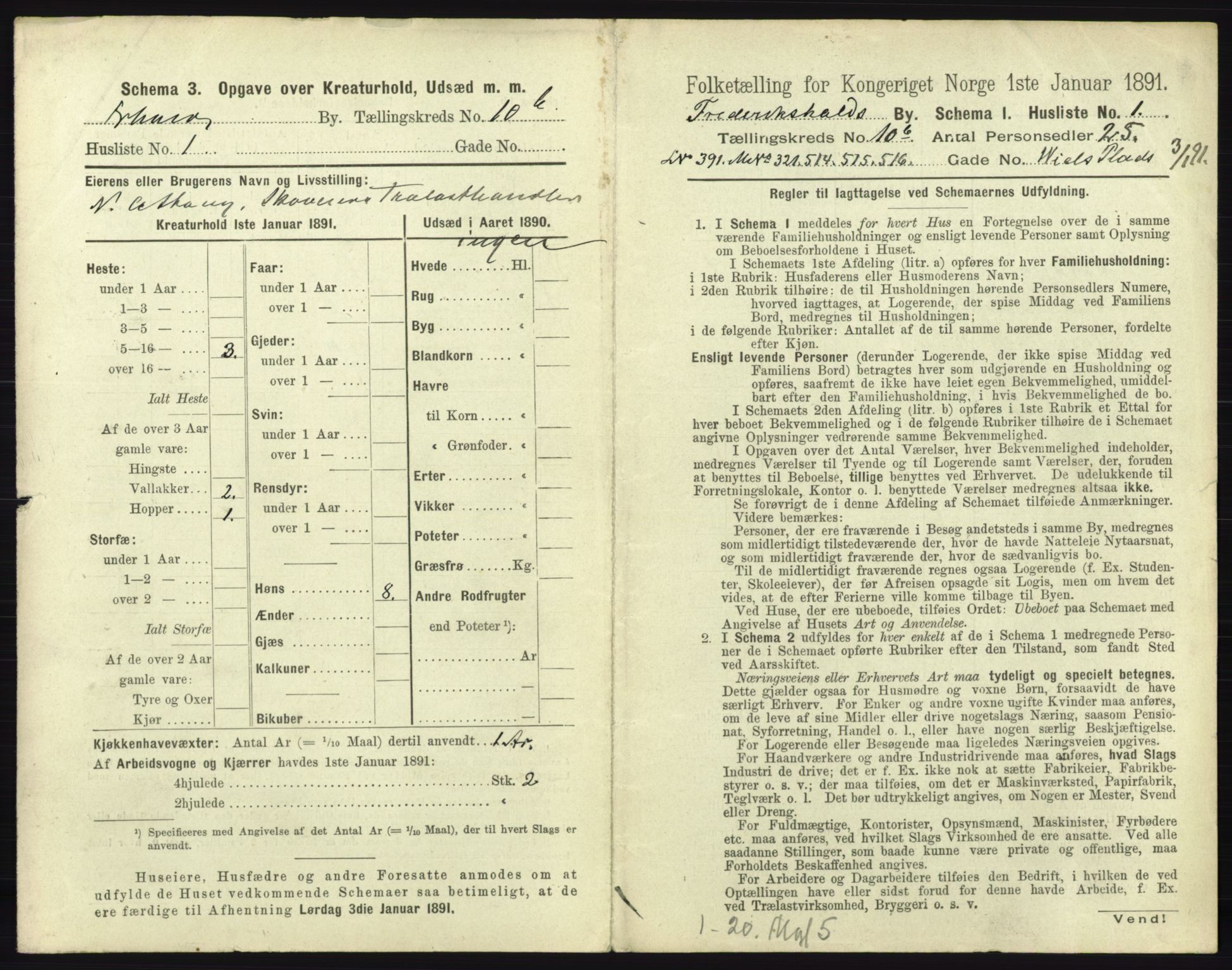 RA, 1891 census for 0101 Fredrikshald, 1891, p. 996