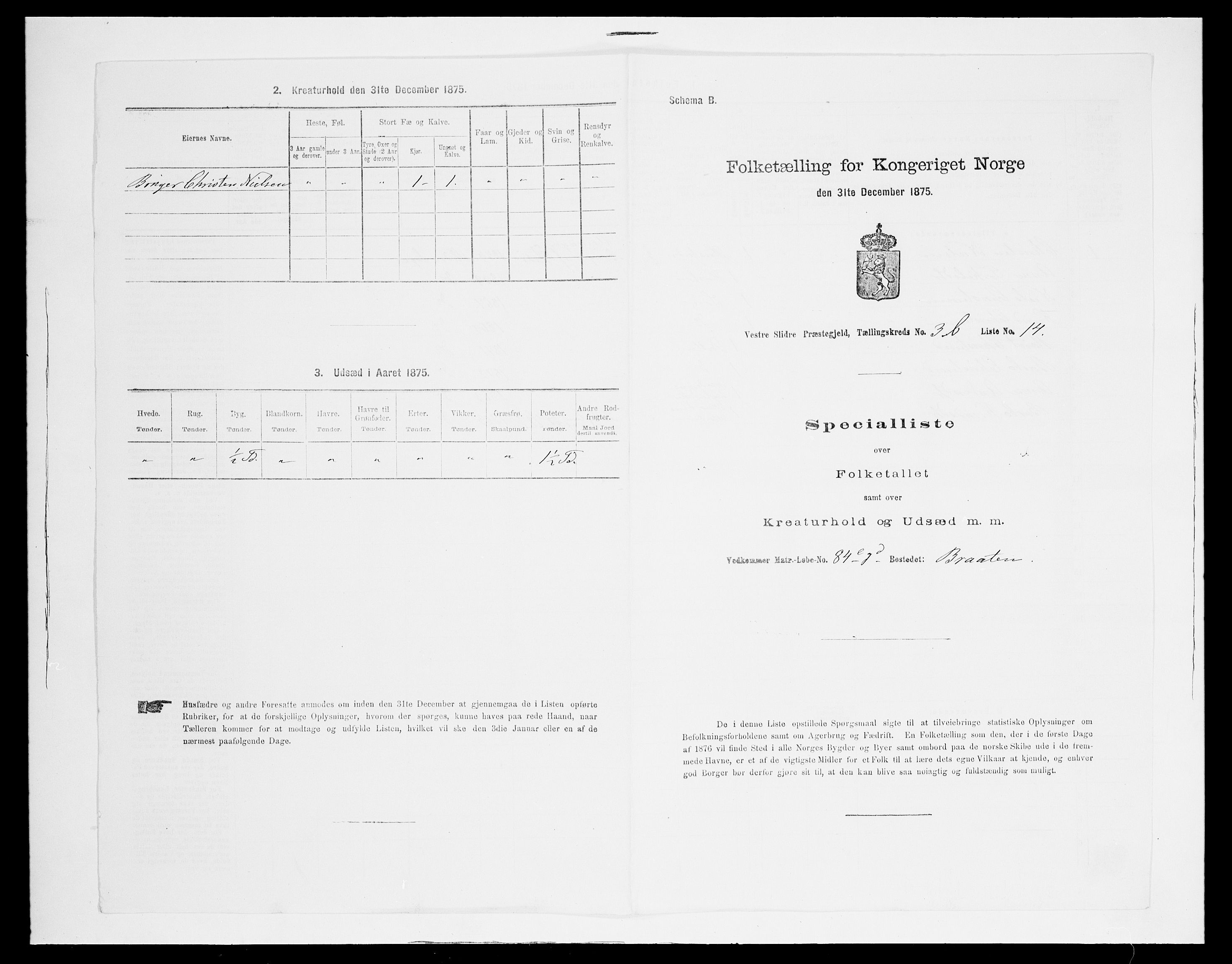 SAH, 1875 census for 0543P Vestre Slidre, 1875, p. 348