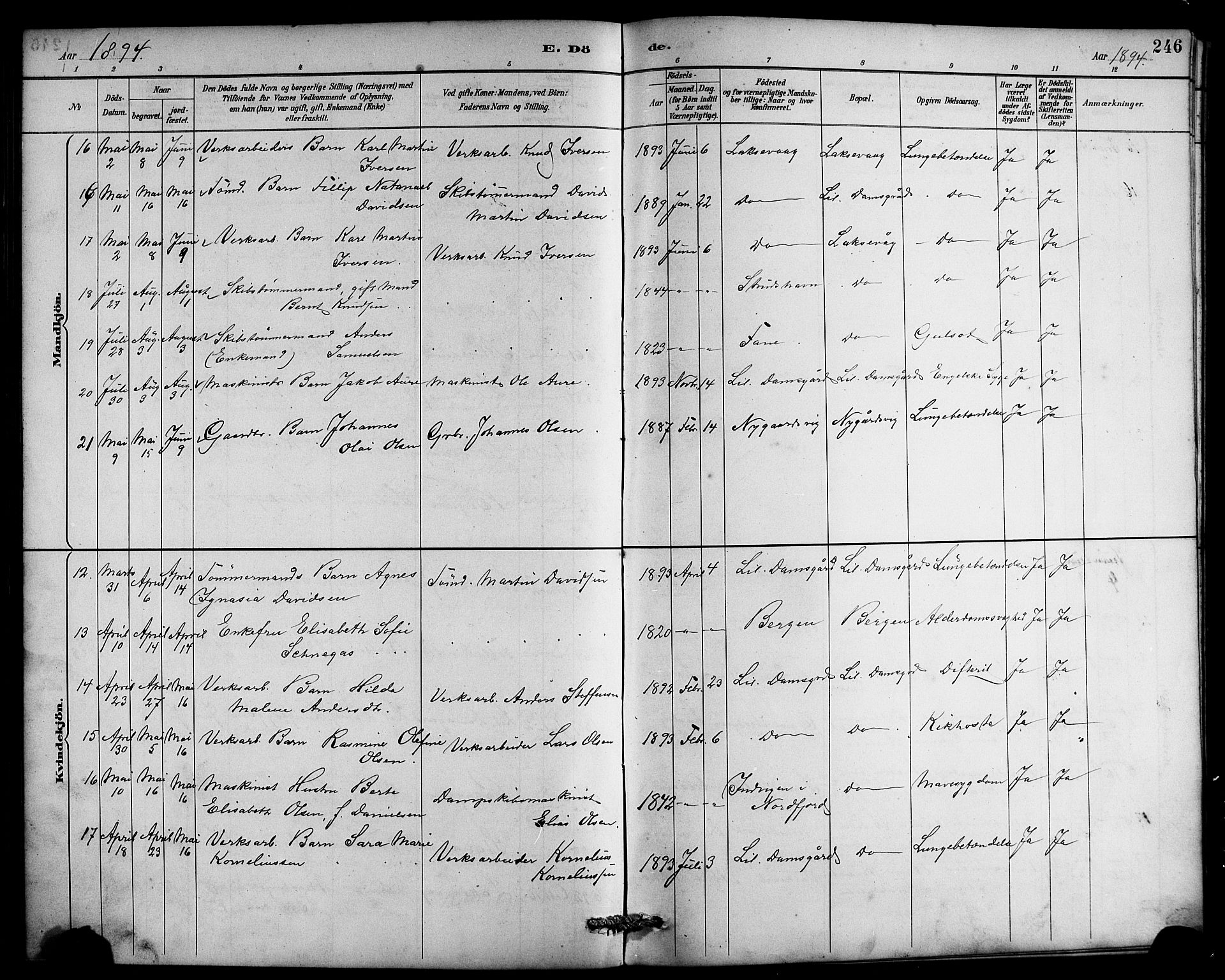 Laksevåg Sokneprestembete, AV/SAB-A-76501/H/Ha/Hab/Haba/L0003: Parish register (copy) no. A 3, 1887-1899, p. 246