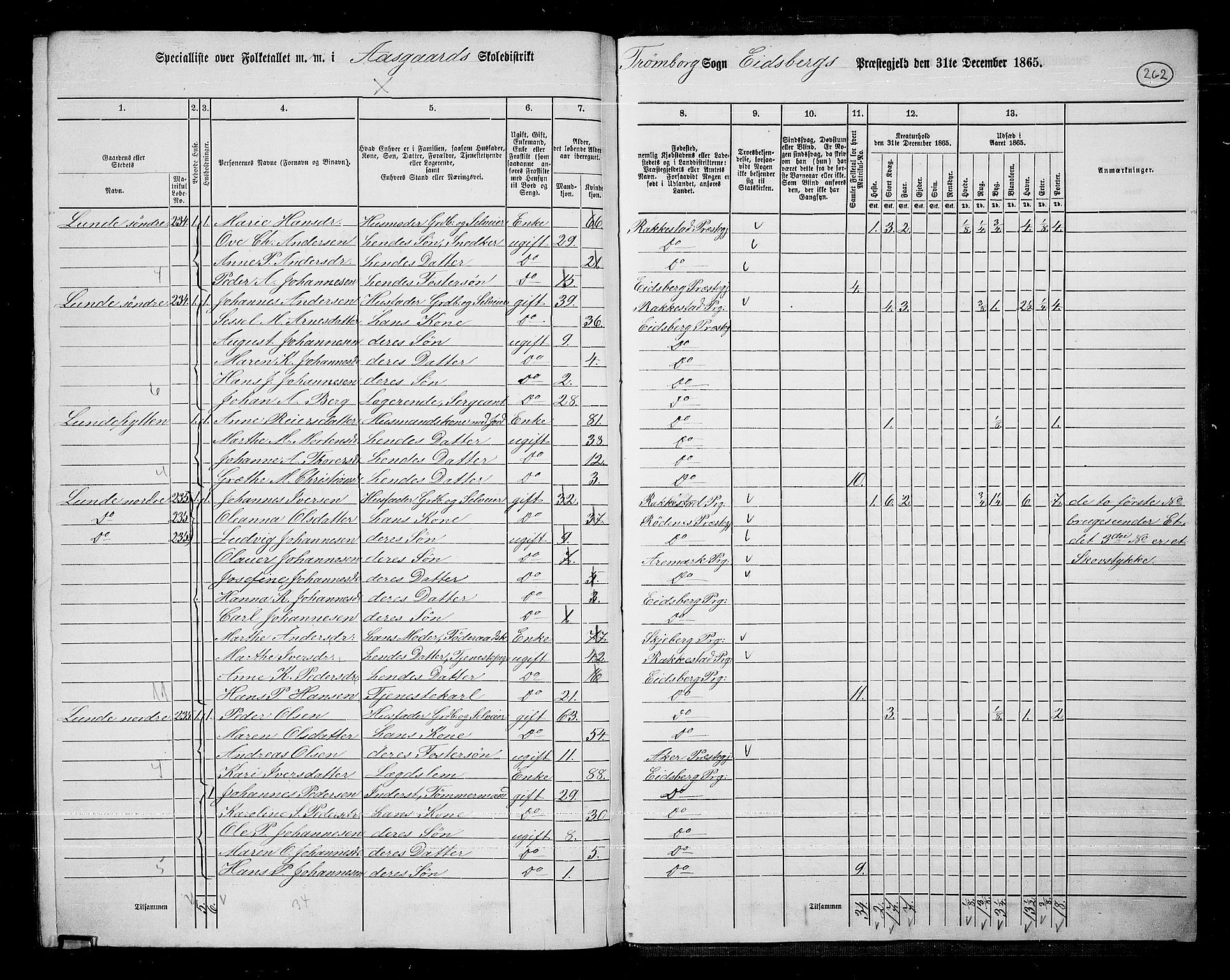 RA, 1865 census for Eidsberg, 1865, p. 238