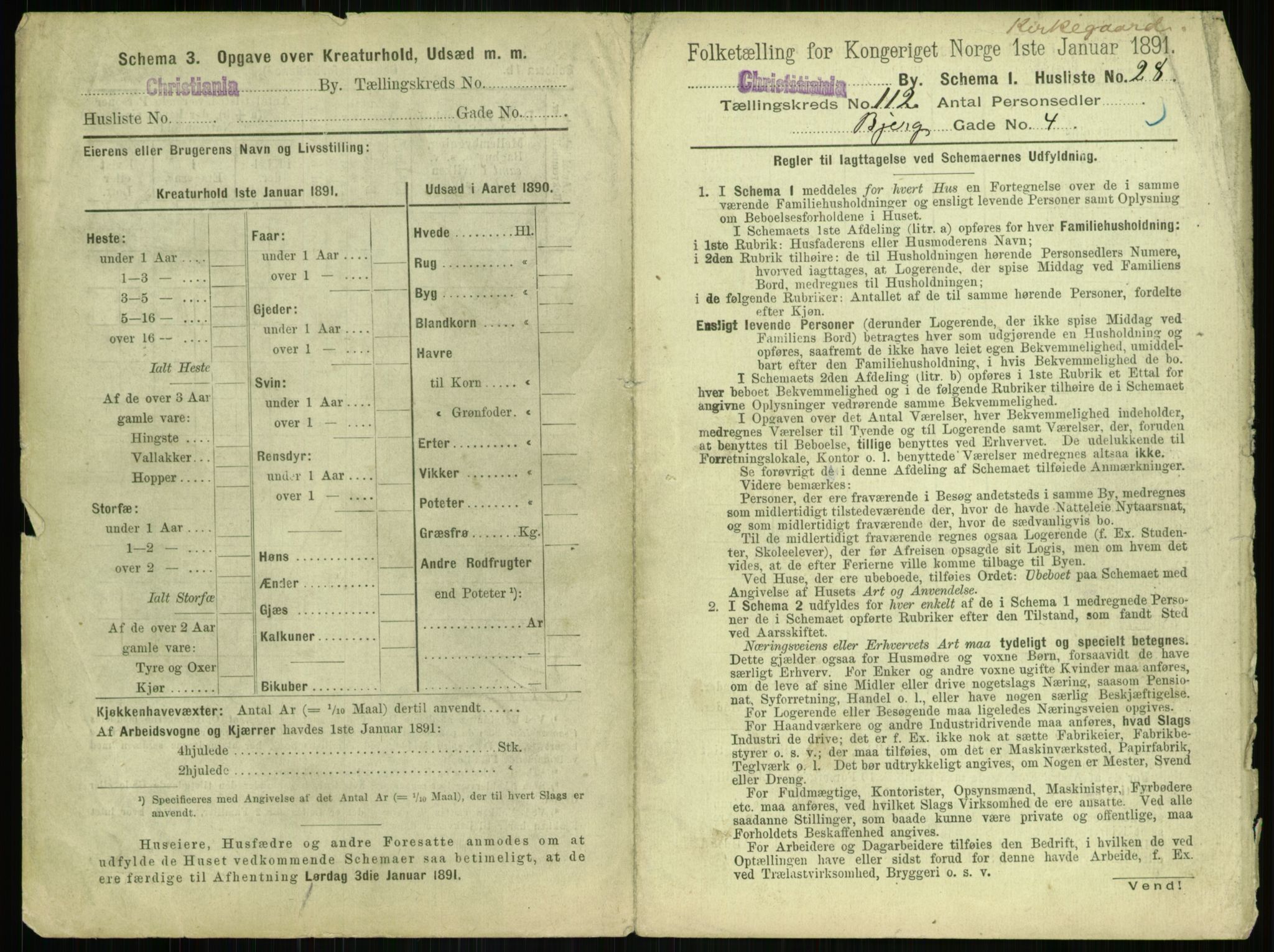 RA, 1891 census for 0301 Kristiania, 1891, p. 59018