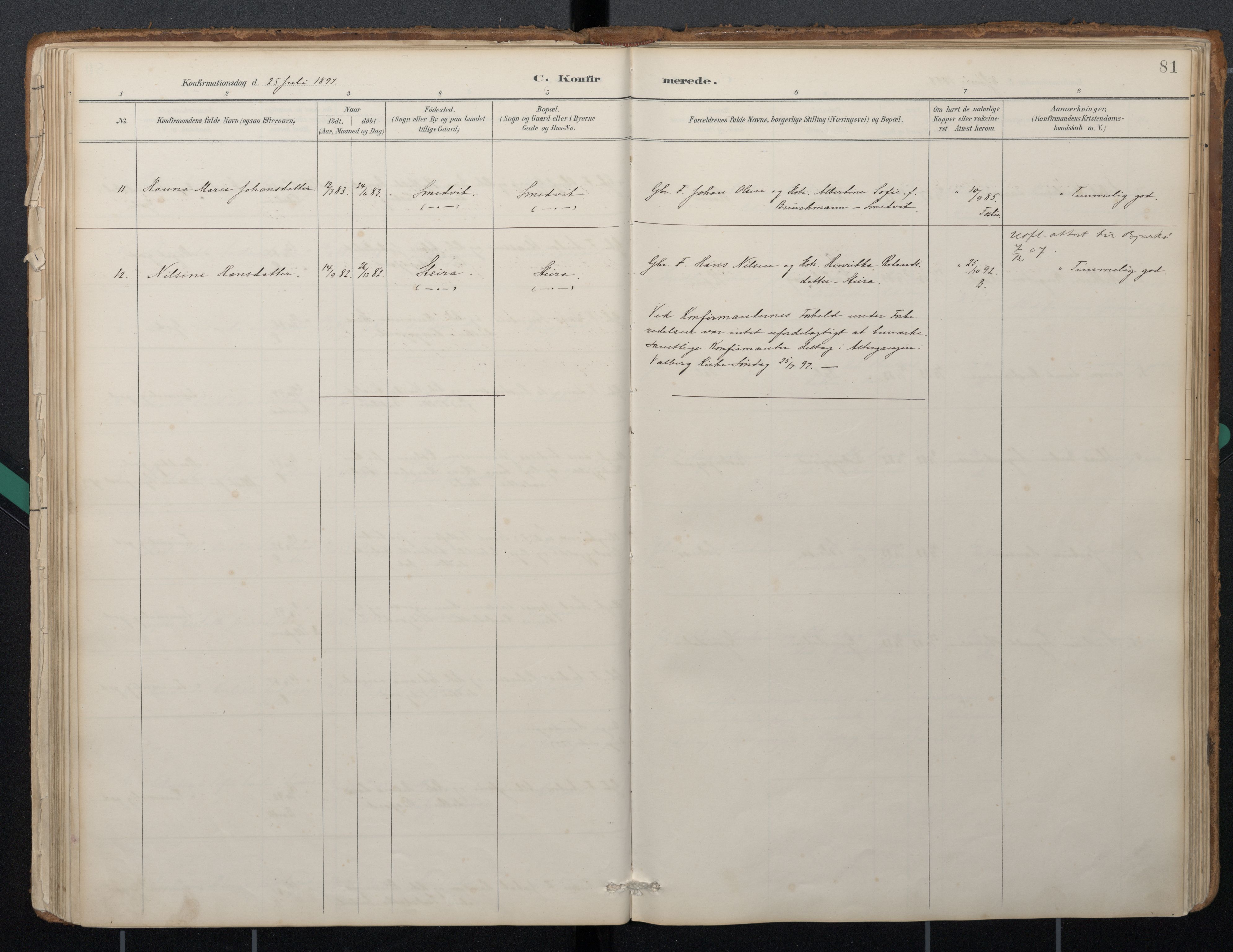 Ministerialprotokoller, klokkerbøker og fødselsregistre - Nordland, AV/SAT-A-1459/884/L1193: Parish register (official) no. 884A01, 1888-1905, p. 81