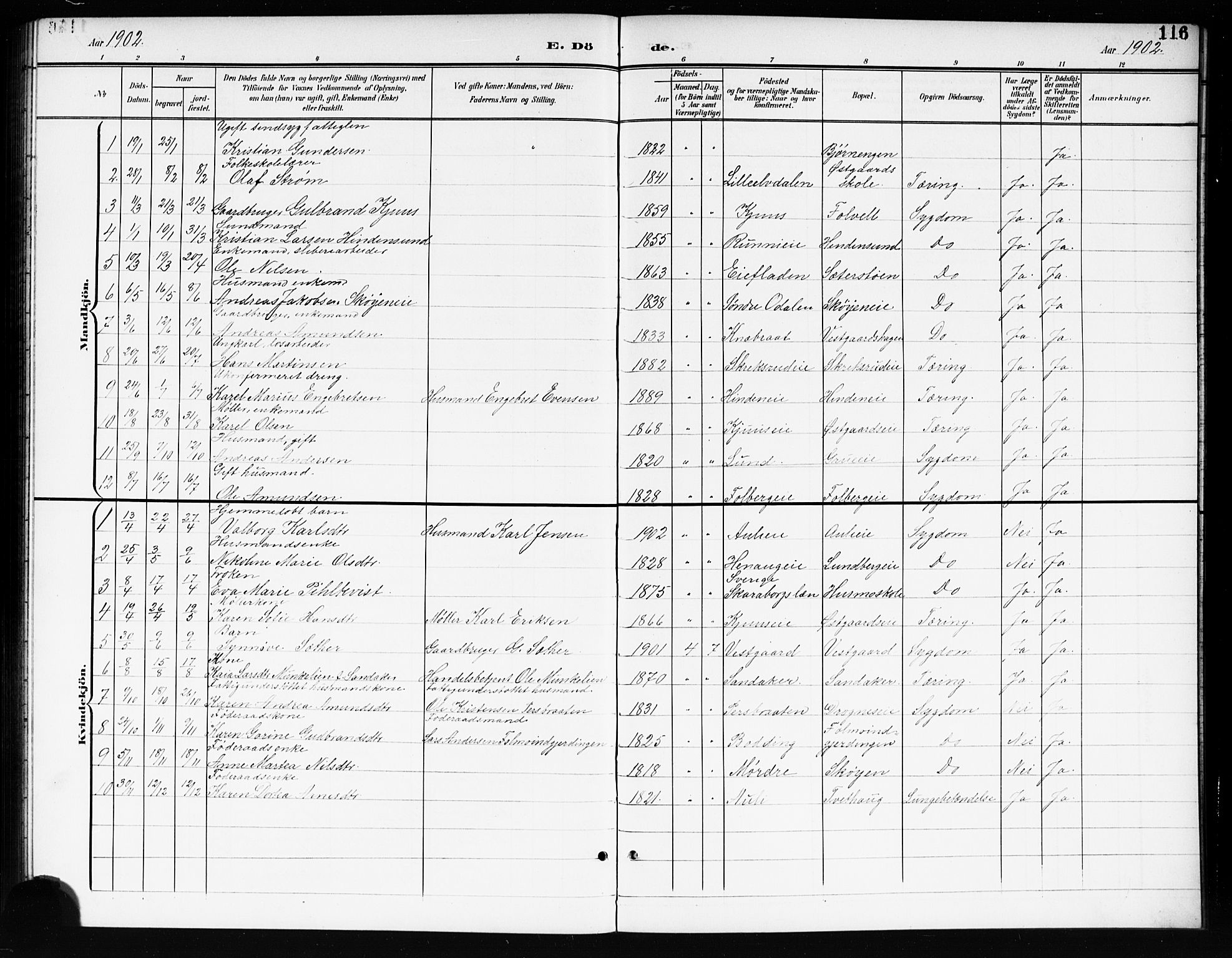 Nes prestekontor Kirkebøker, AV/SAO-A-10410/G/Gc/L0001: Parish register (copy) no. III 1, 1901-1917, p. 116