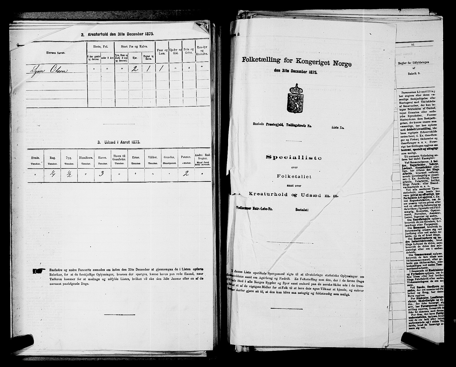 RA, 1875 census for 0127P Skiptvet, 1875, p. 431
